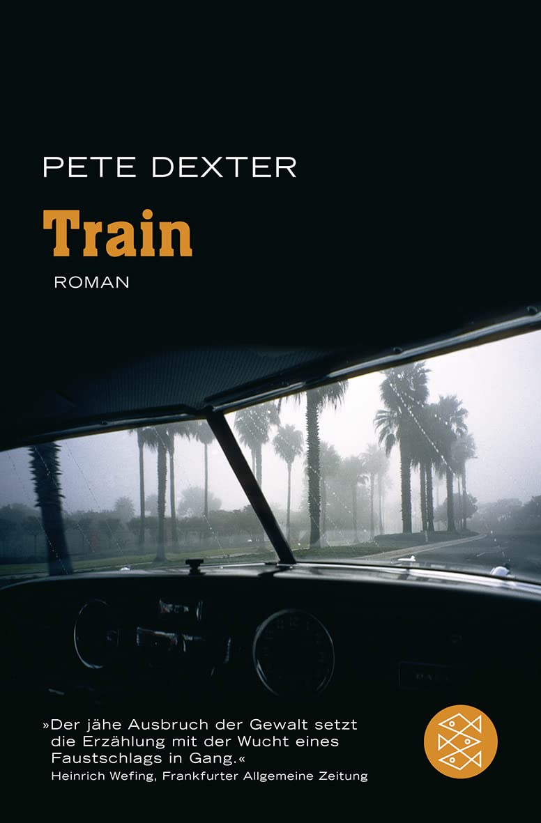 Train: Roman Contemporary literature