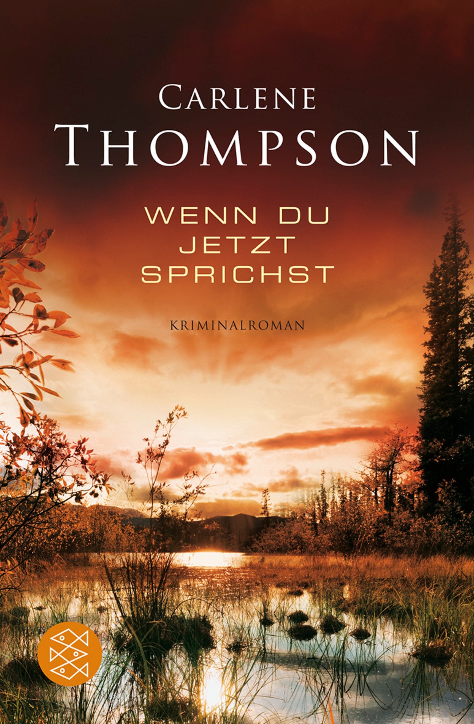 Wenn du jetzt sprichst: Kriminalroman Crime & Thrillers
