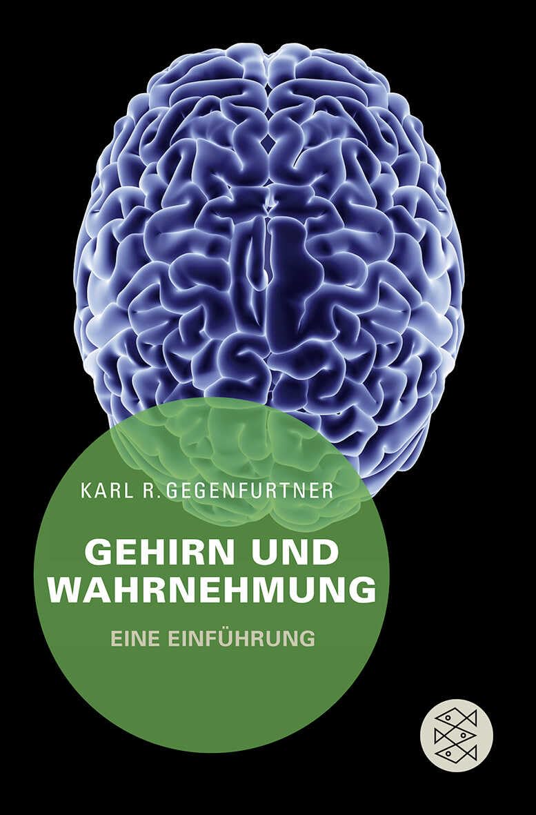 Gehirn und Wahrnehmung: Eine Einführung Medicine