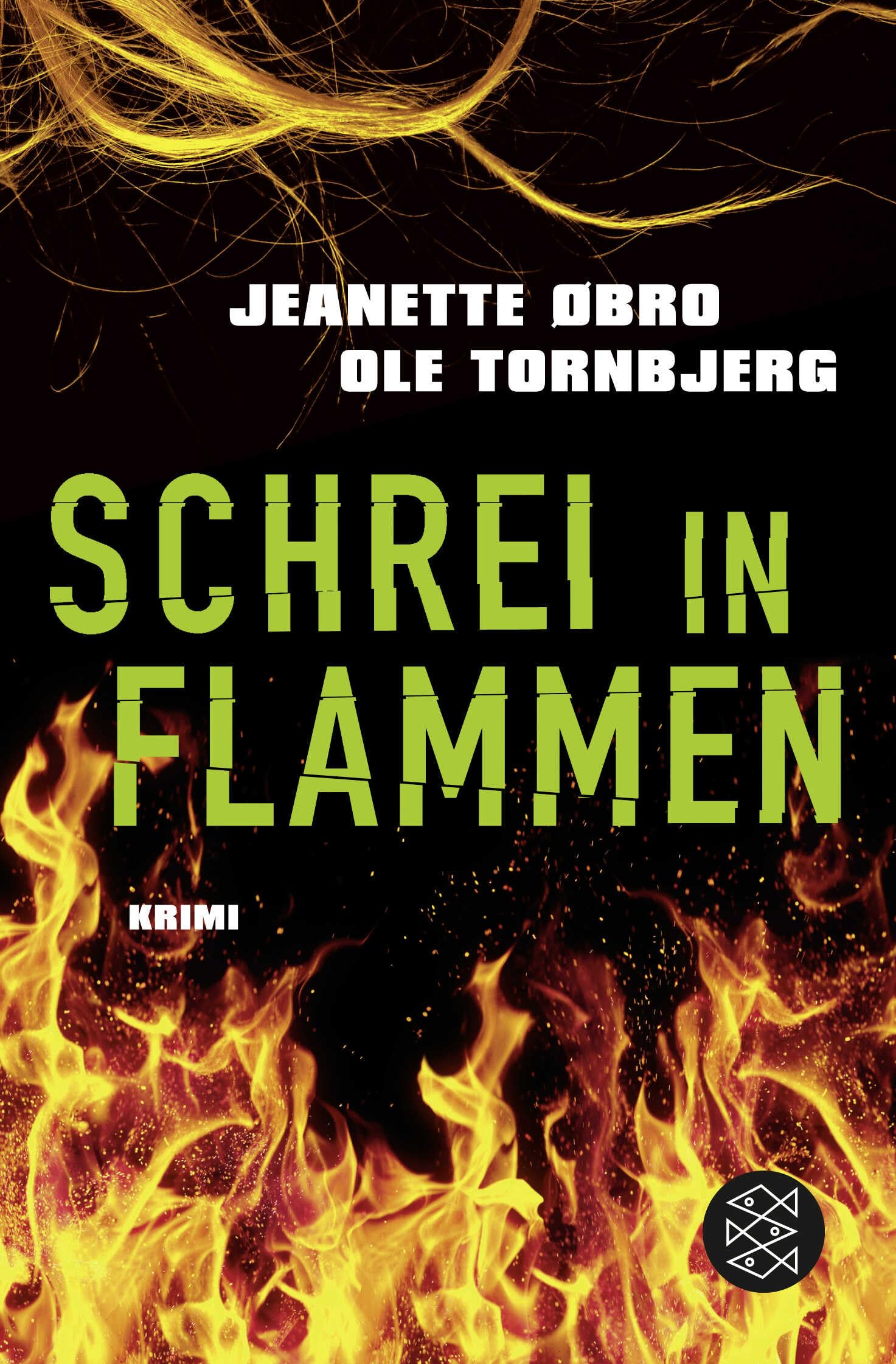 Schrei in Flammen: Kriminalroman Contemporary literature