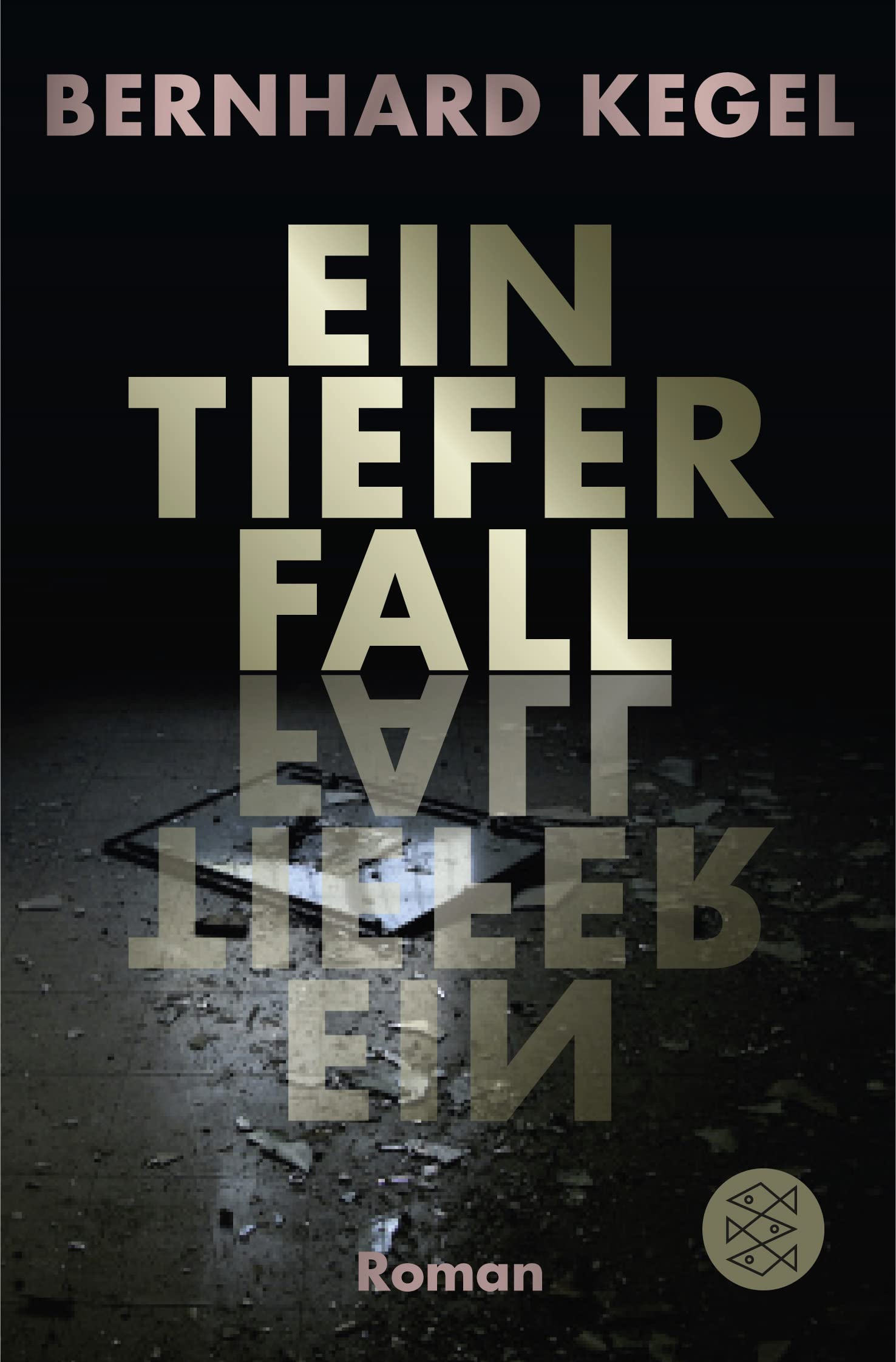 Ein tiefer Fall Contemporary literature Books