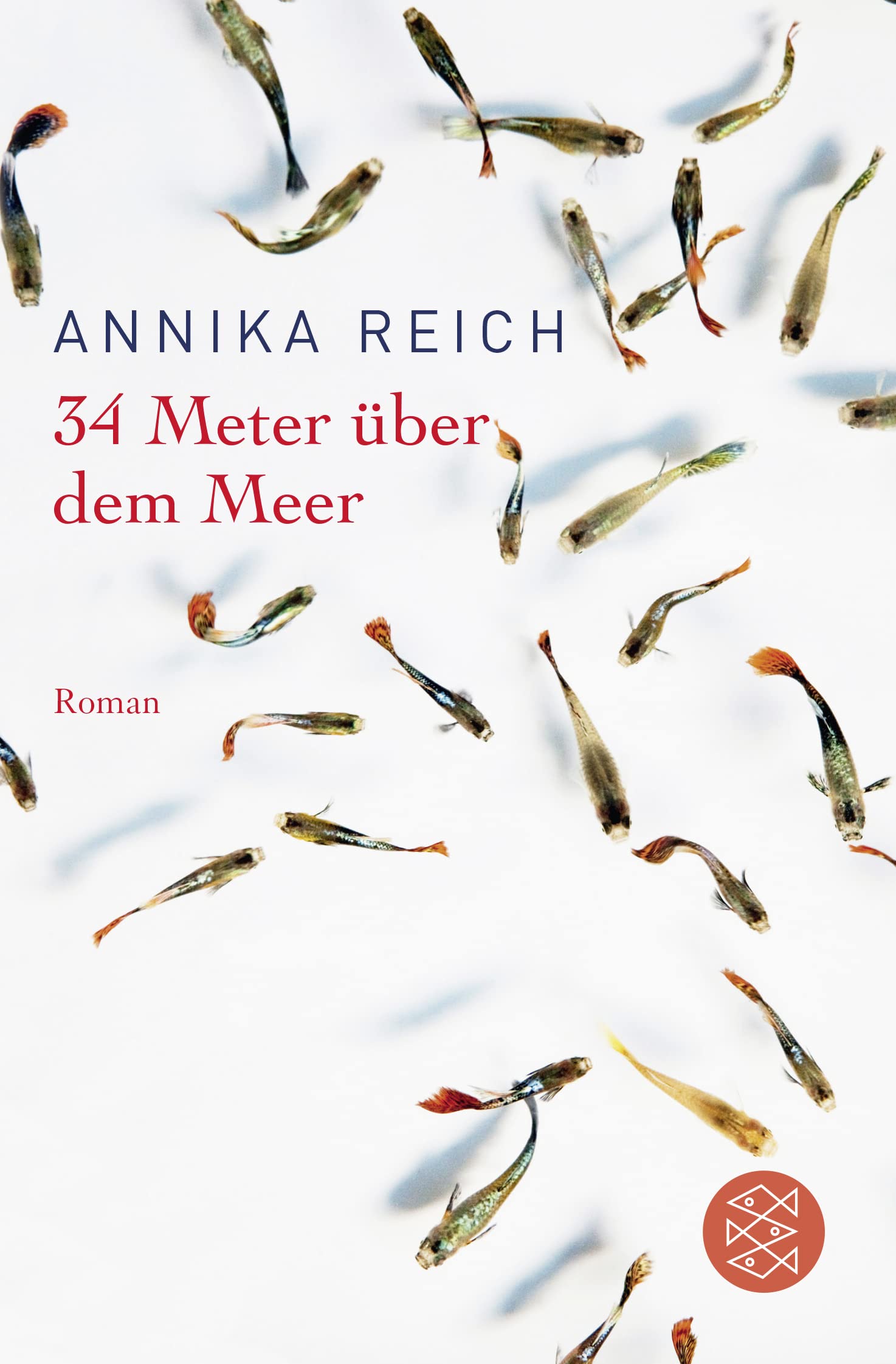 34 Meter über dem Meer Contemporary literature