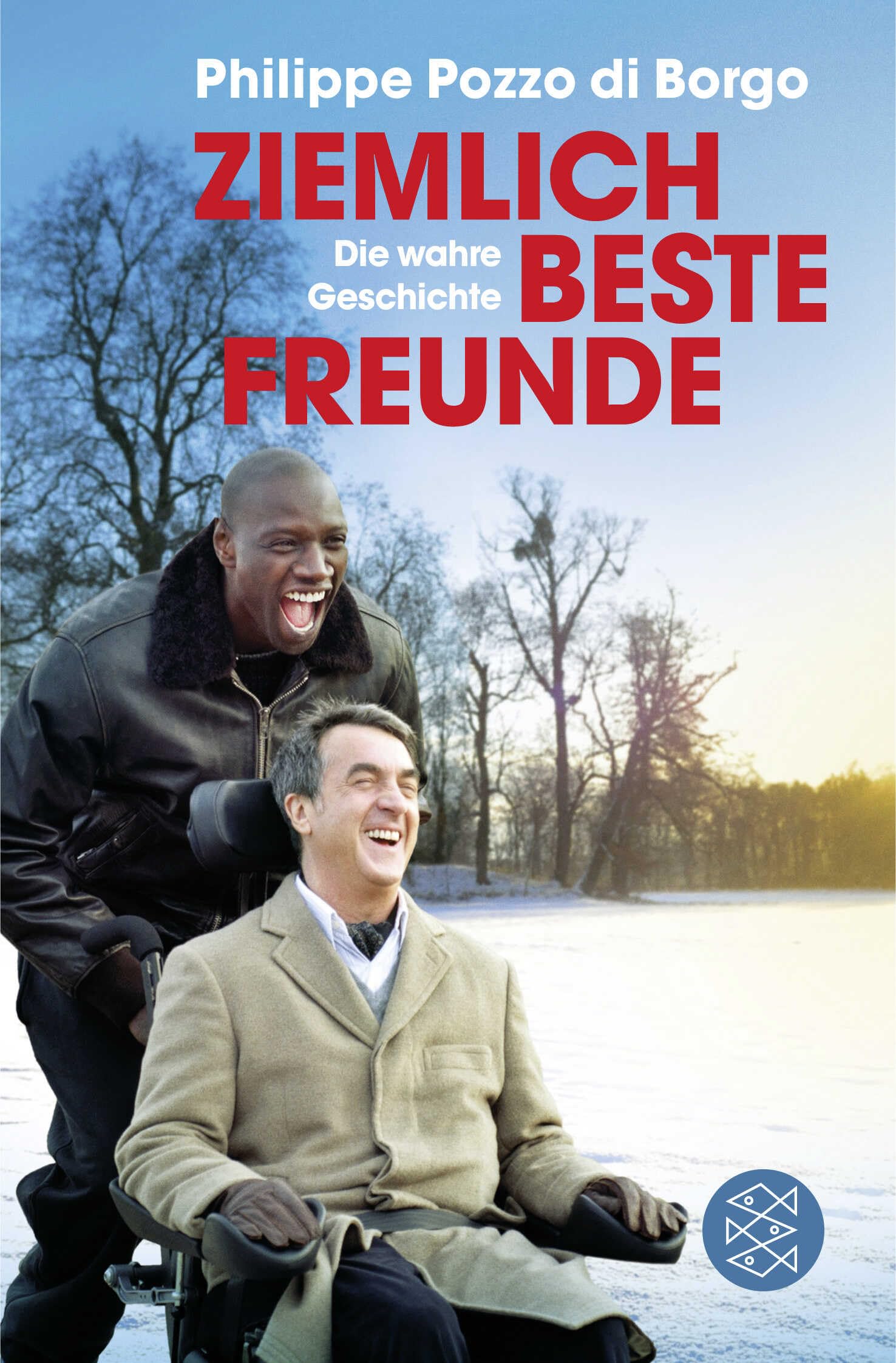 Product Image: Ziemlich beste Freunde