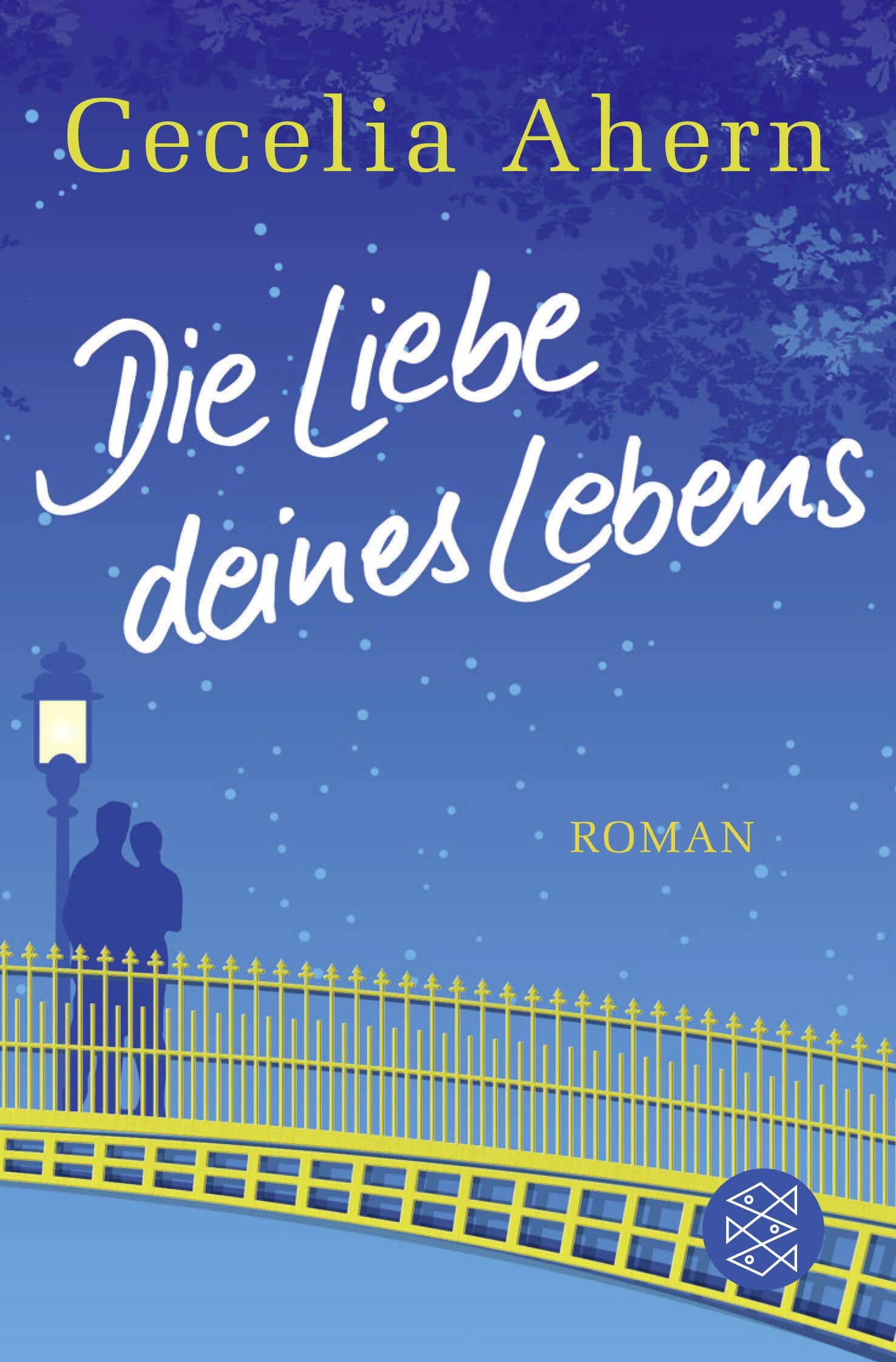 Die Liebe deines Lebens: Roman (Hochkaräter) Contemporary literature
