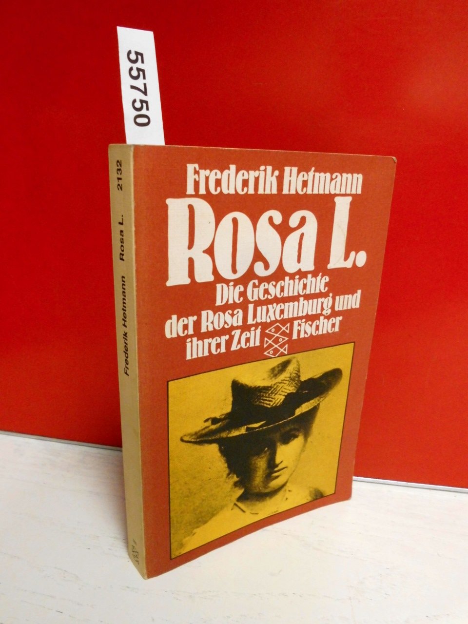 Rosa L: Die Geschichte der Rosa Luxemburg und ihrer Zeit Books