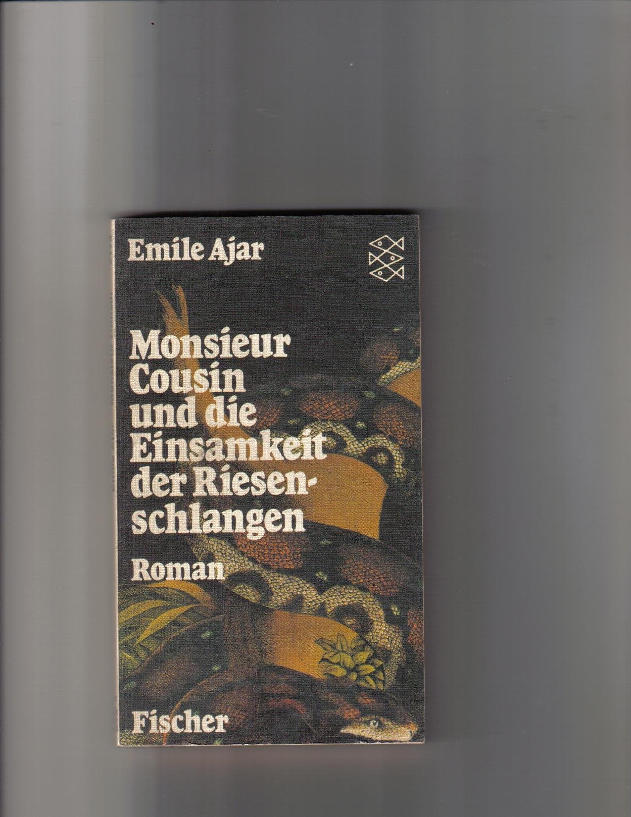 Monsieur Cousin und die Einsamkeit der Riesenschlangen. Books
