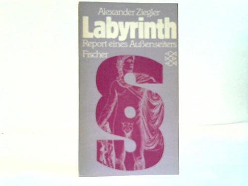 Das Labyrinth: Report eines Aussenseiters Social Sciences Books