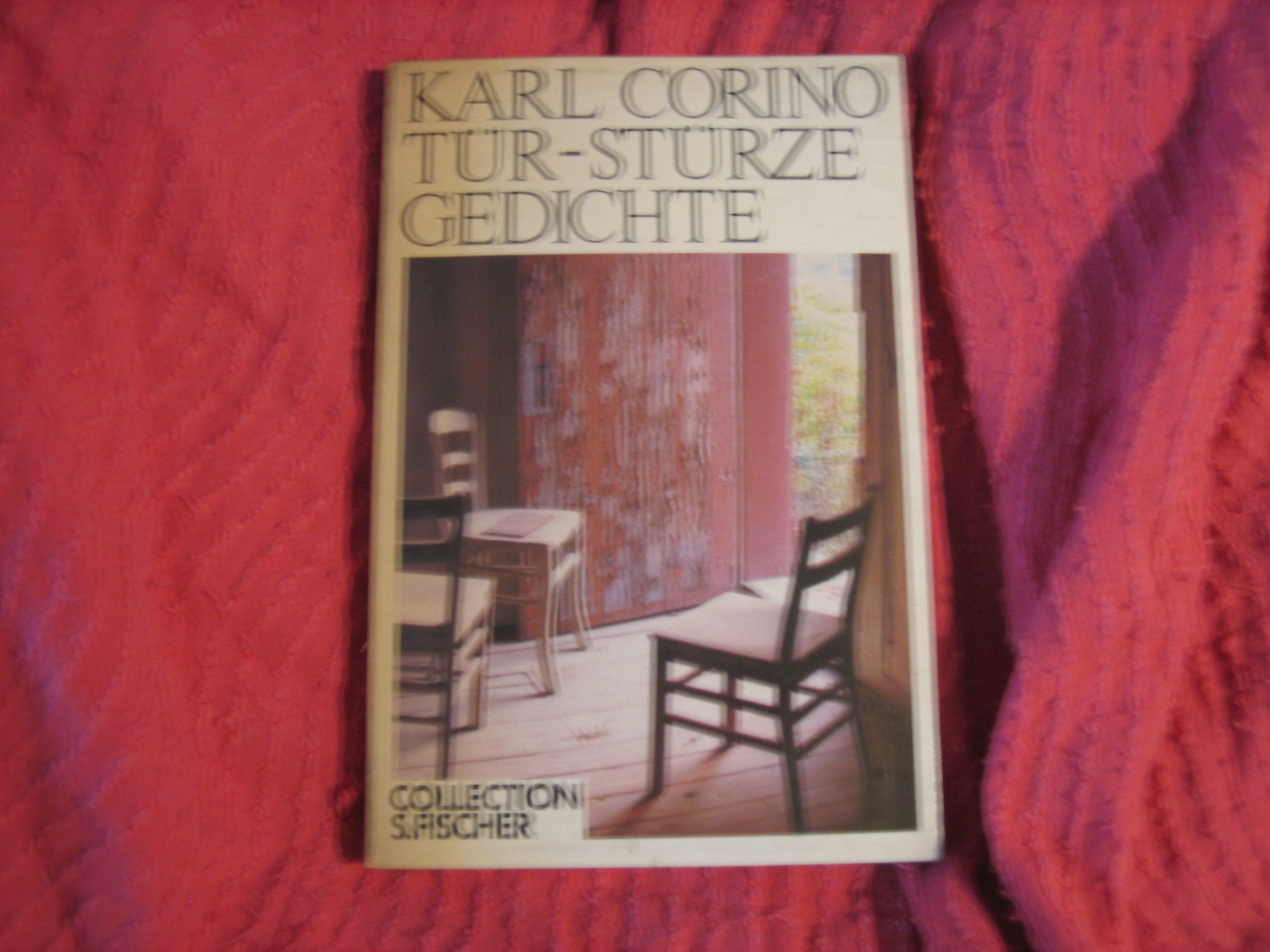 Tür-Stürze. Gedichte Books