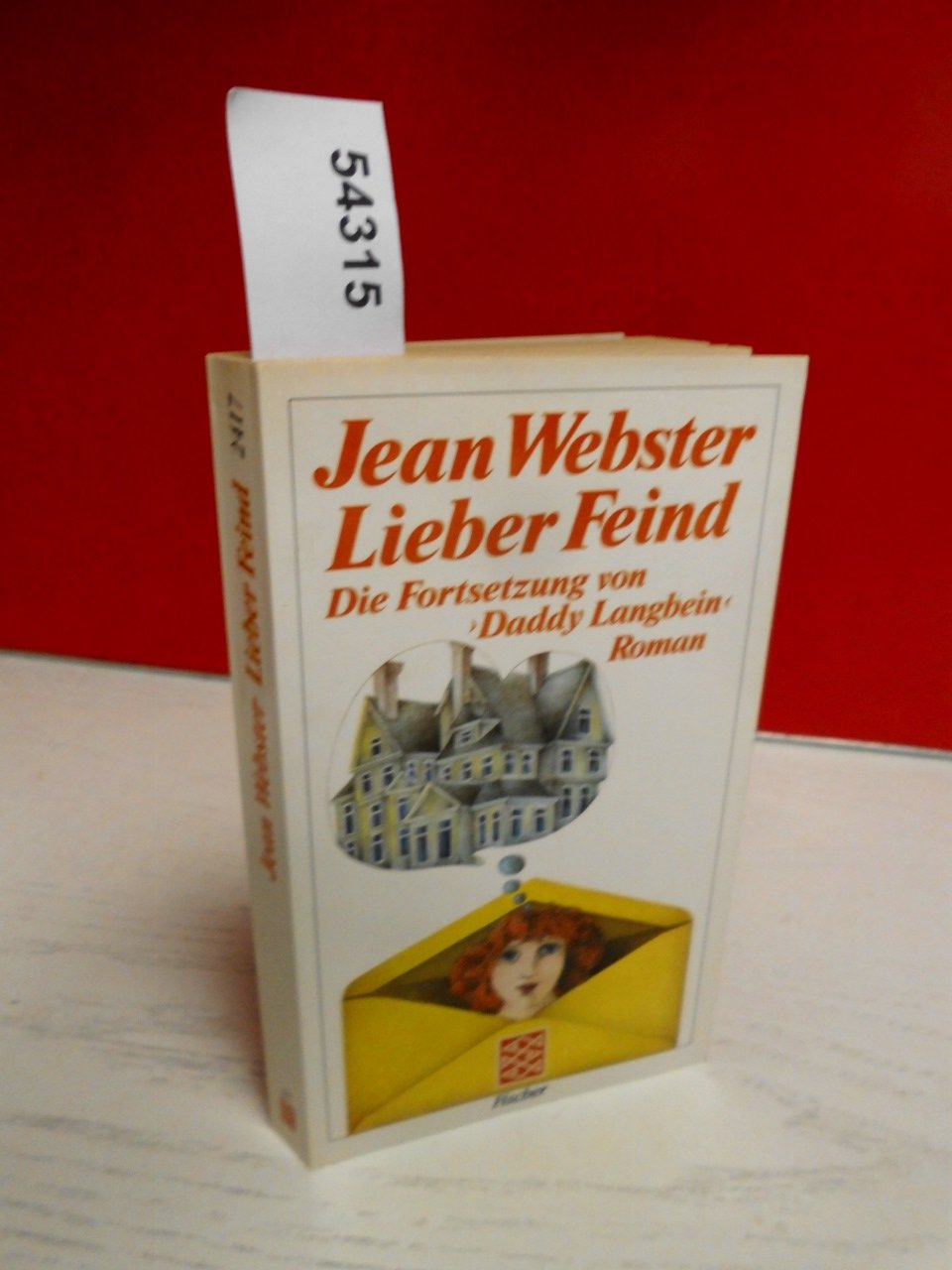 Lieber Feind: Roman (Fischer Taschenbücher) Books