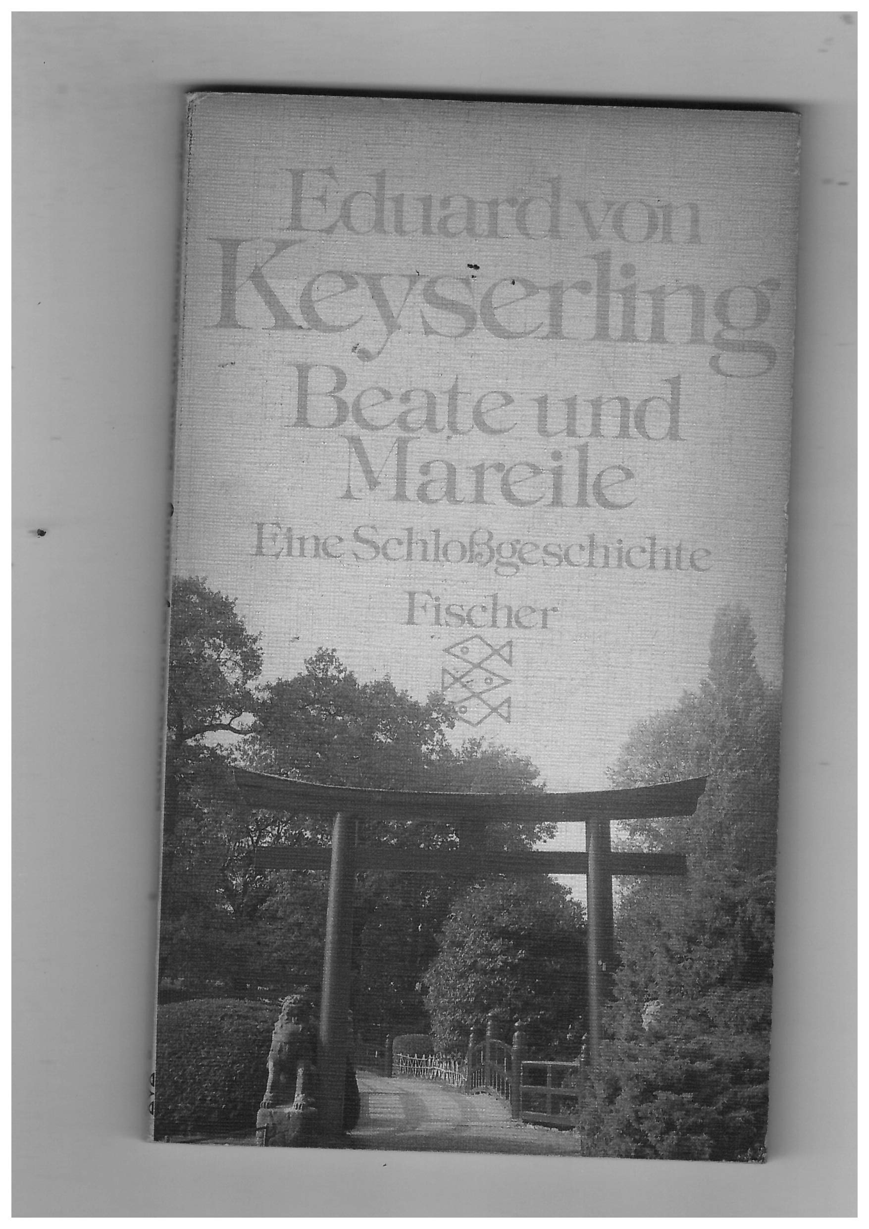 Beate und Mareile: Eine Schlossgeschichte (Fischer Taschenbücher) Classics