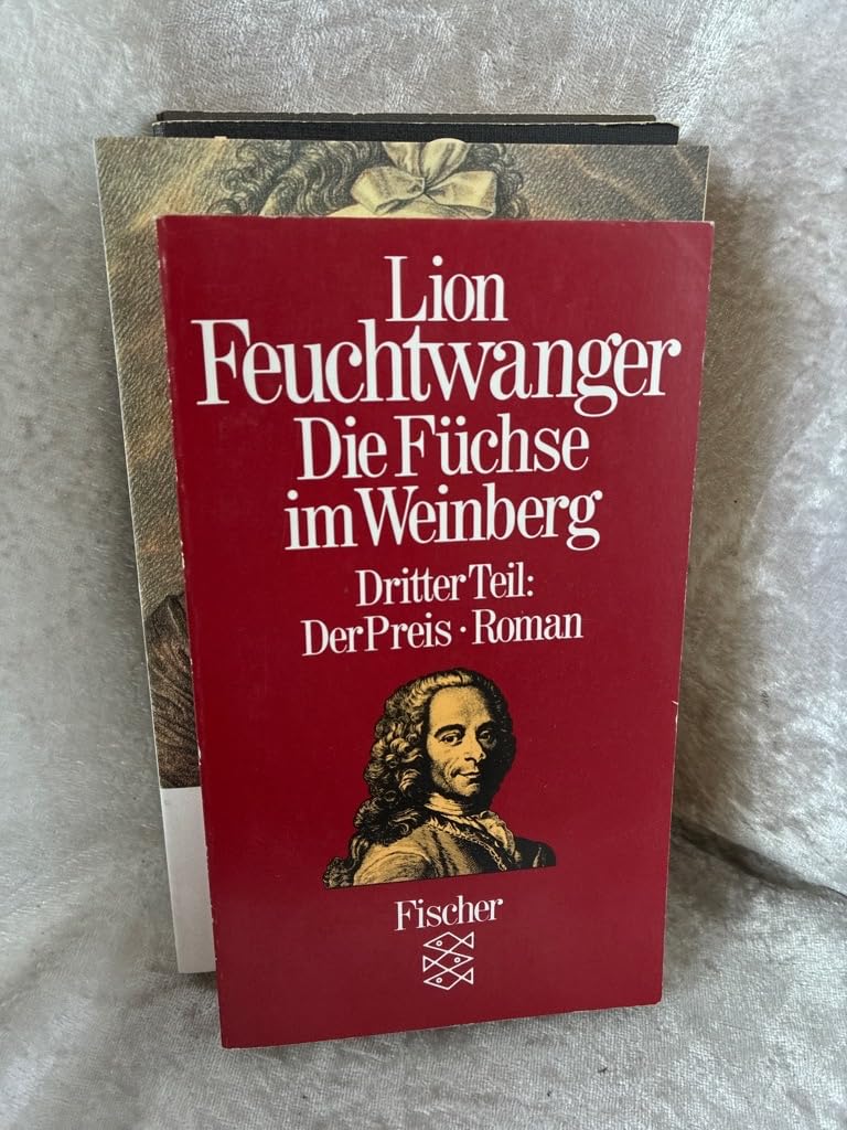 Die Füchse im Weinberg, Bd. 3: Der Preis Historical Fiction
