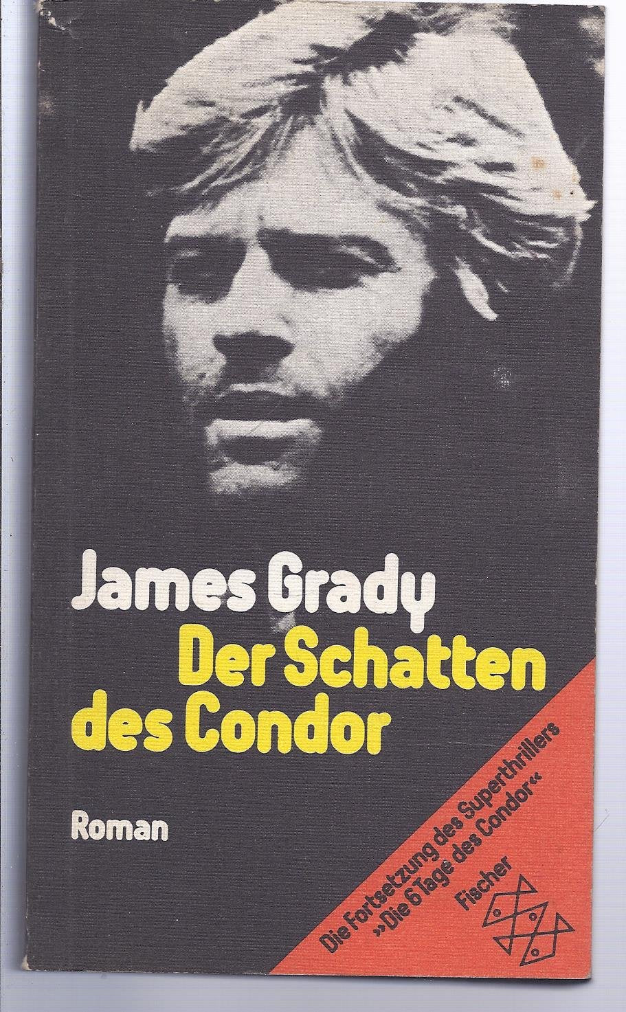 Der Schatten des Condor: Roman Books