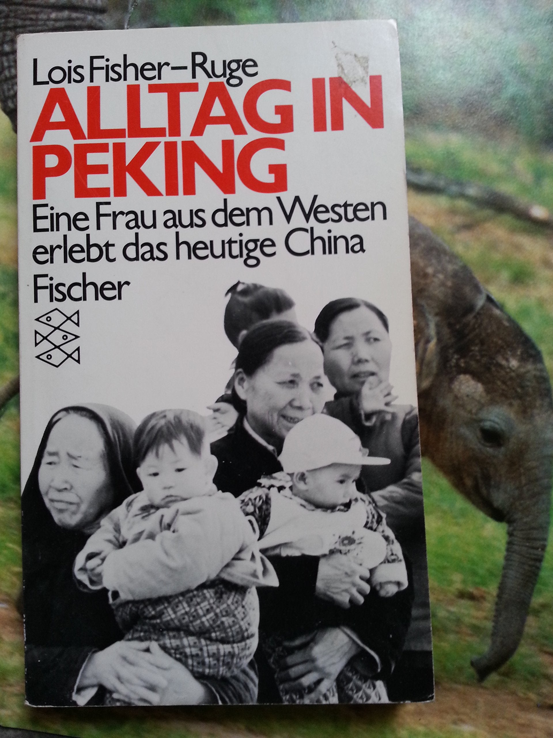 Alltag in Peking - Eine Frau aus dem Westen erlebt das heutige China Politics & Society