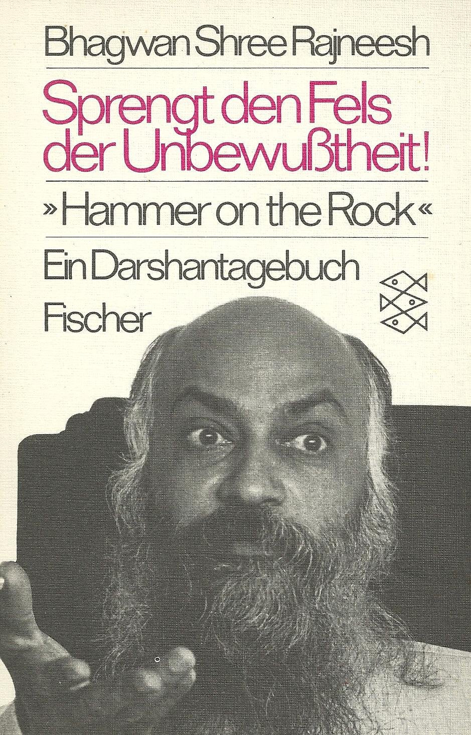 Sprengt den Fels der Unbewußtheit ("Hammer on the Rock") - Ein Darshantagebuch Memories