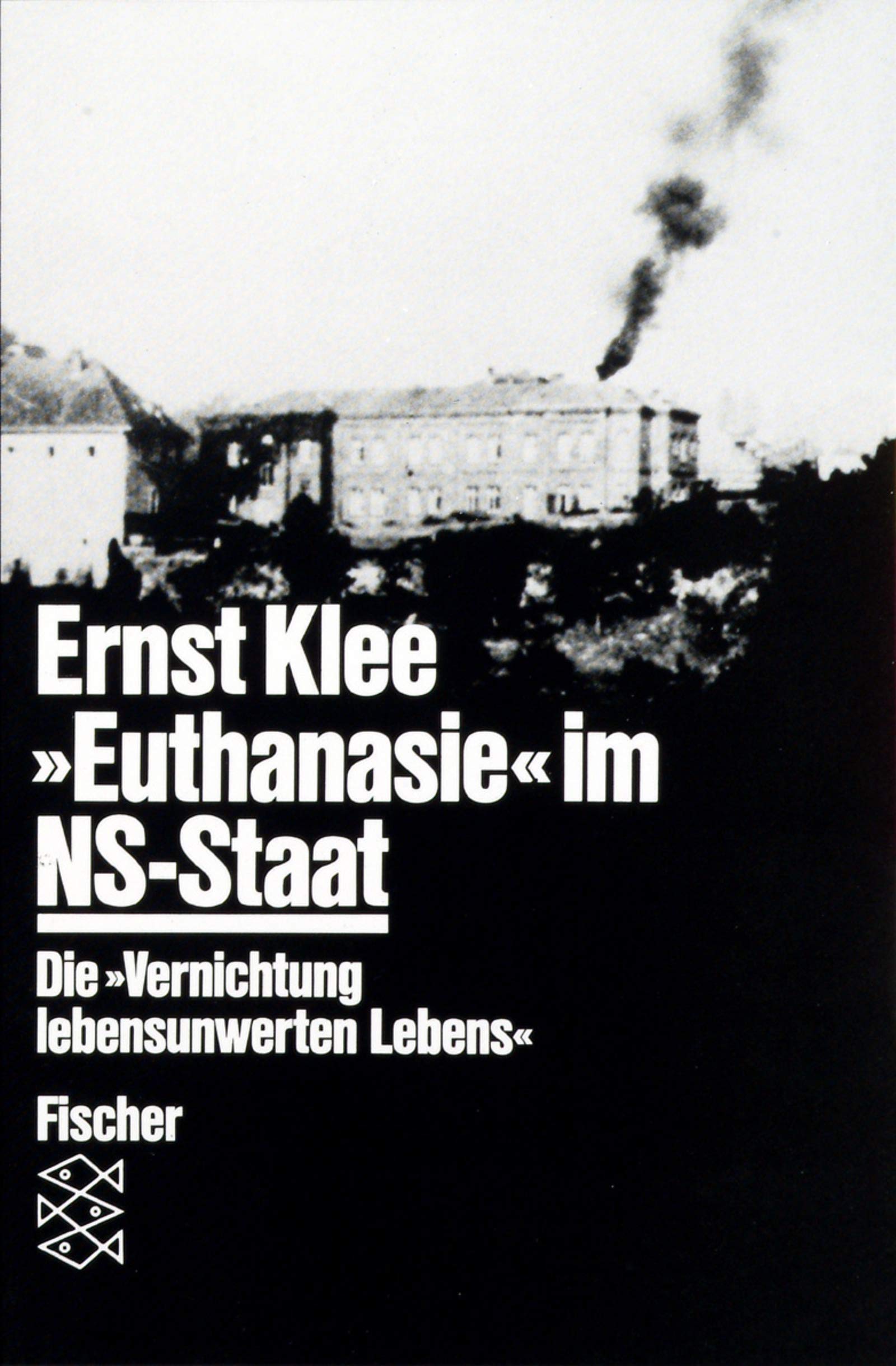 Wie war es möglich?: Die Wirklichkeit des Nationalsozialismus (Fischer Taschenbücher) Books