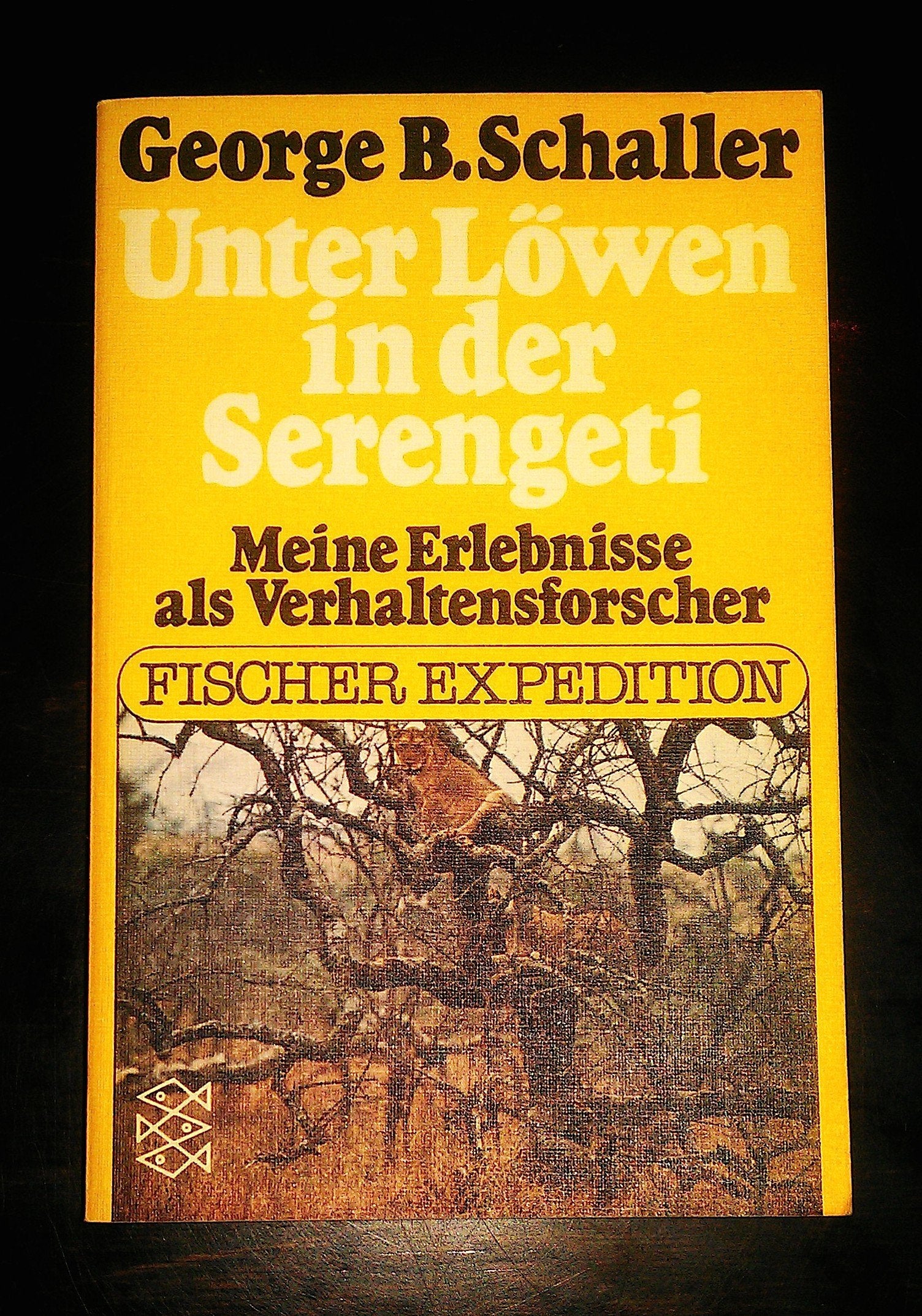 Unter Löwen in der Serengeti. Meine Erlebnisse als Verhaltensforscher Business & Technology
