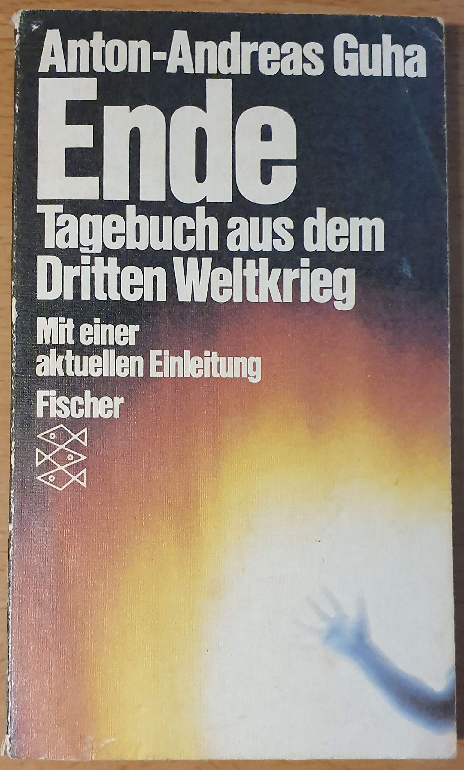 Ende: Tagebuch aus dem Dritten Weltkrieg. Mit einer aktuellen Einleitung Books
