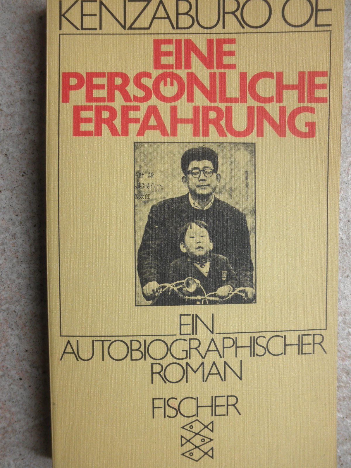 Eine persönliche Erfahrung: Roman (Fischer Taschenbücher) Fiction