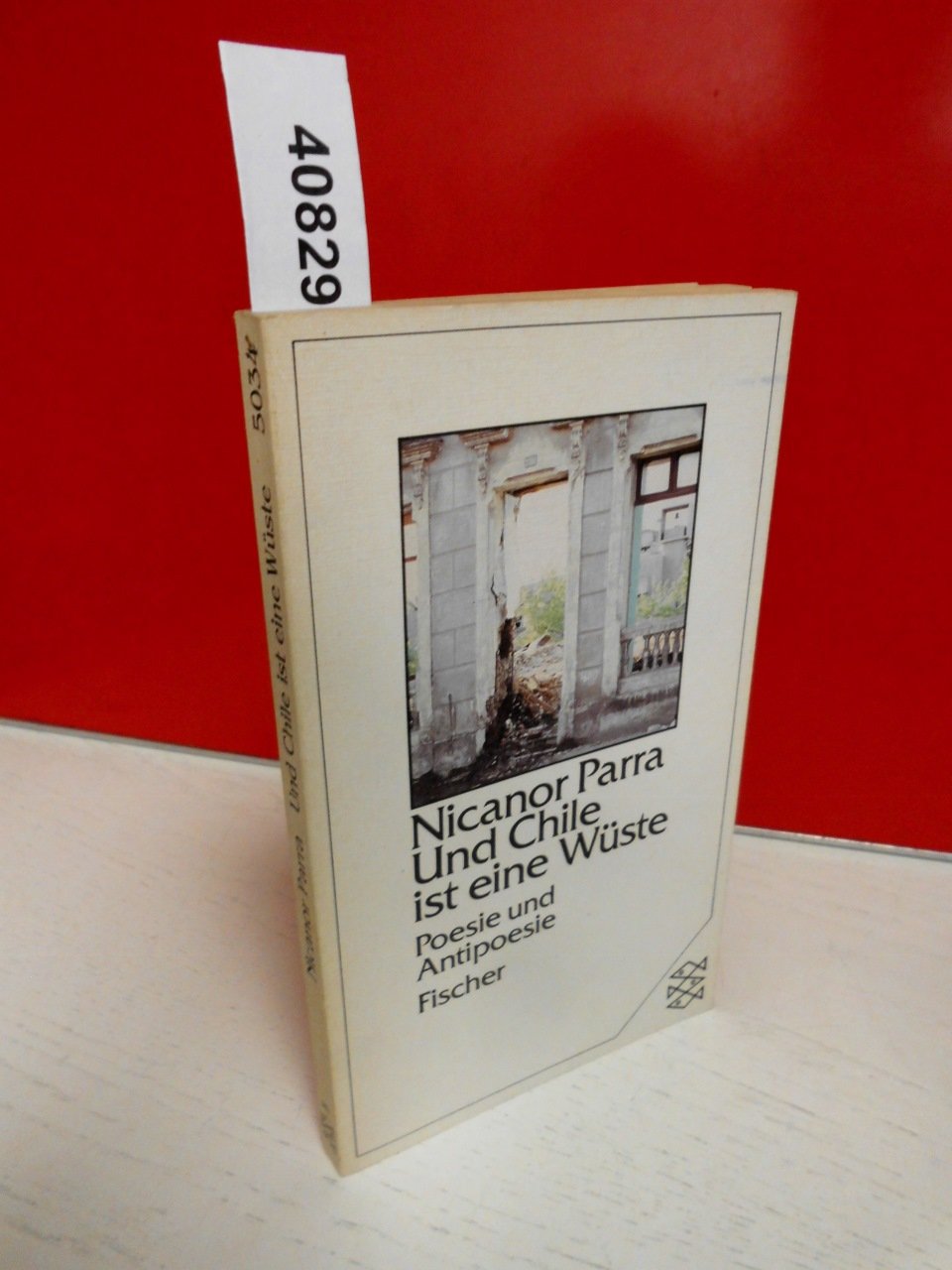 Und Chile ist eine Wüste. Poesie und Antipoesie Books