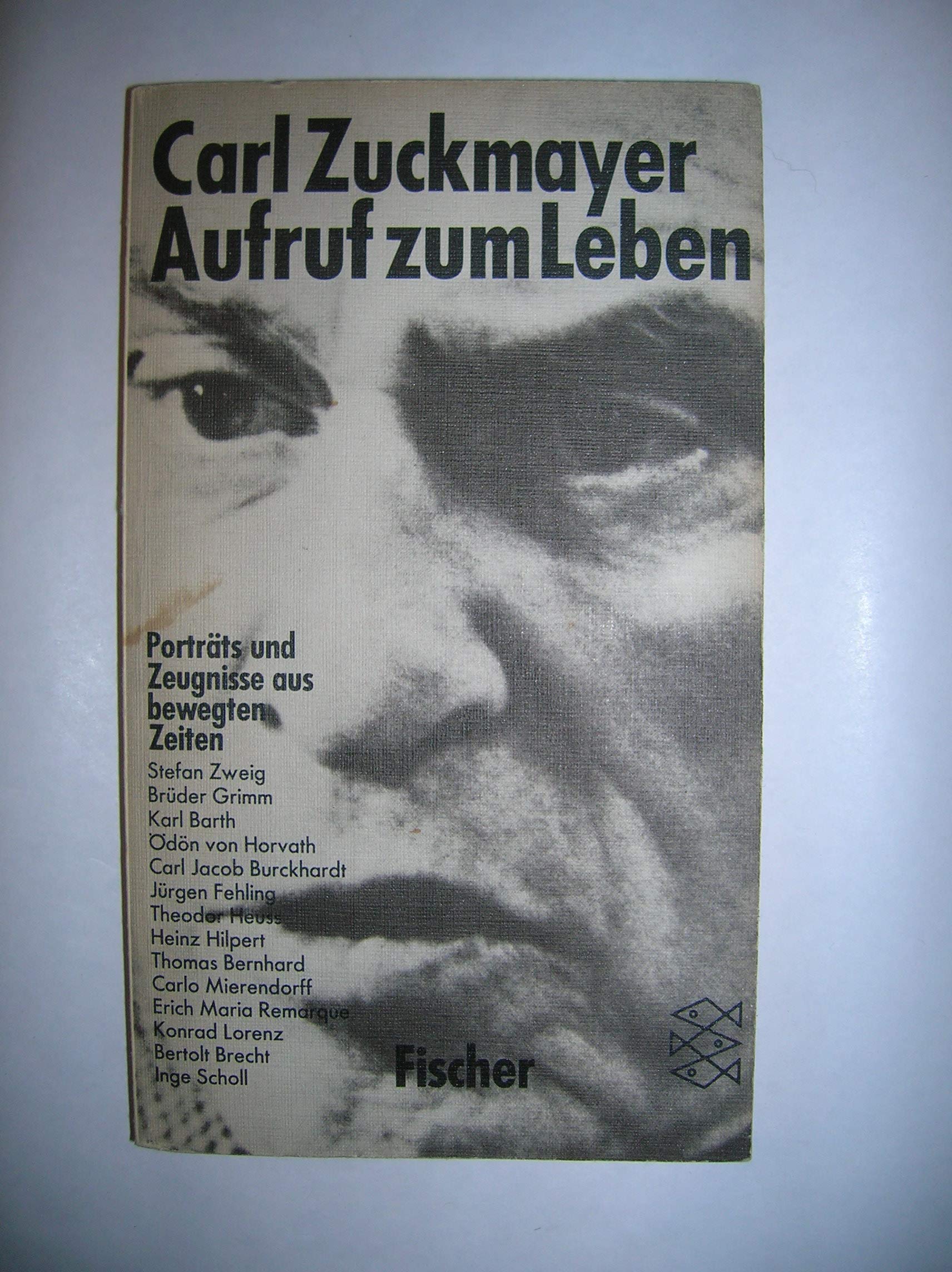 Aufruf zum Leben: Porträts und Zeugnisse aus bewegten Zeiten Classics