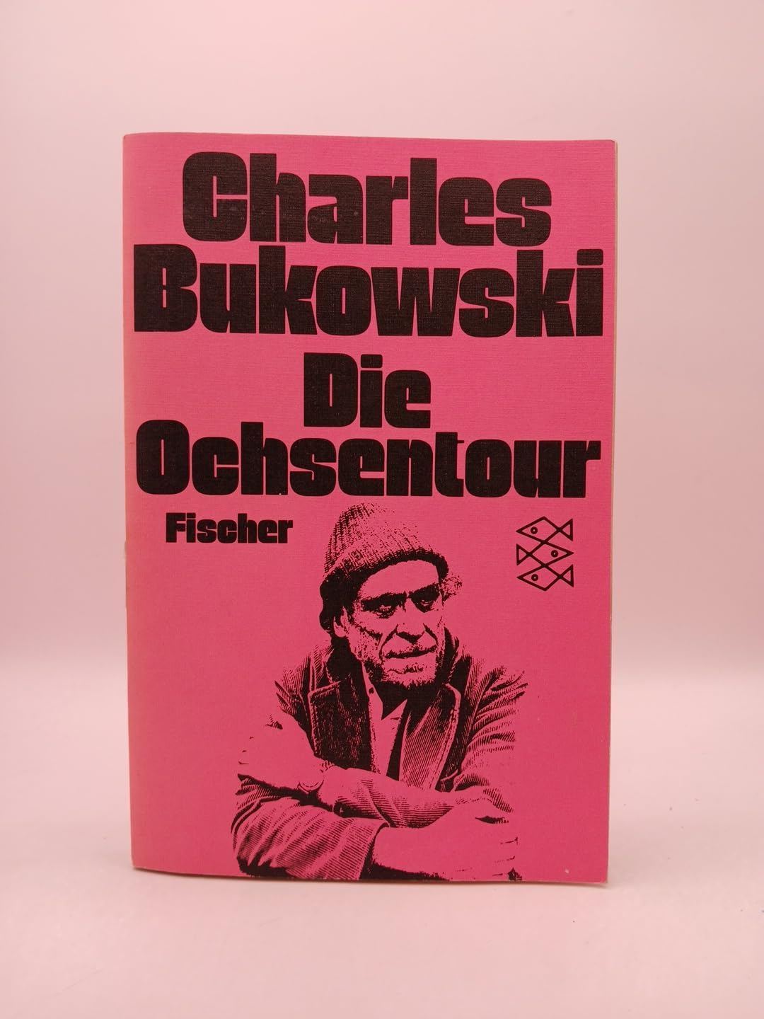 Die Ochsentour (Fischer Taschenbücher) Contemporary literature