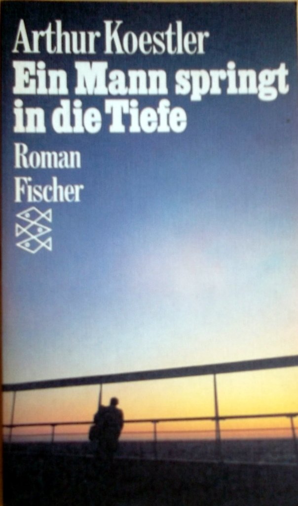 Ein Mann springt in die Tiefe: Roman Books