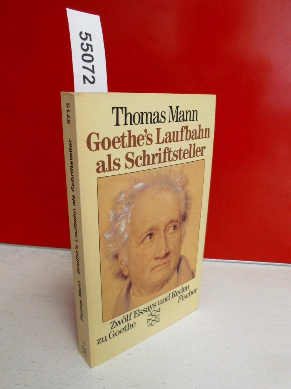 Goethes Laufbahn als Schriftsteller: Zwölf Essays und Reden zu Goethe Professional & Reference Books