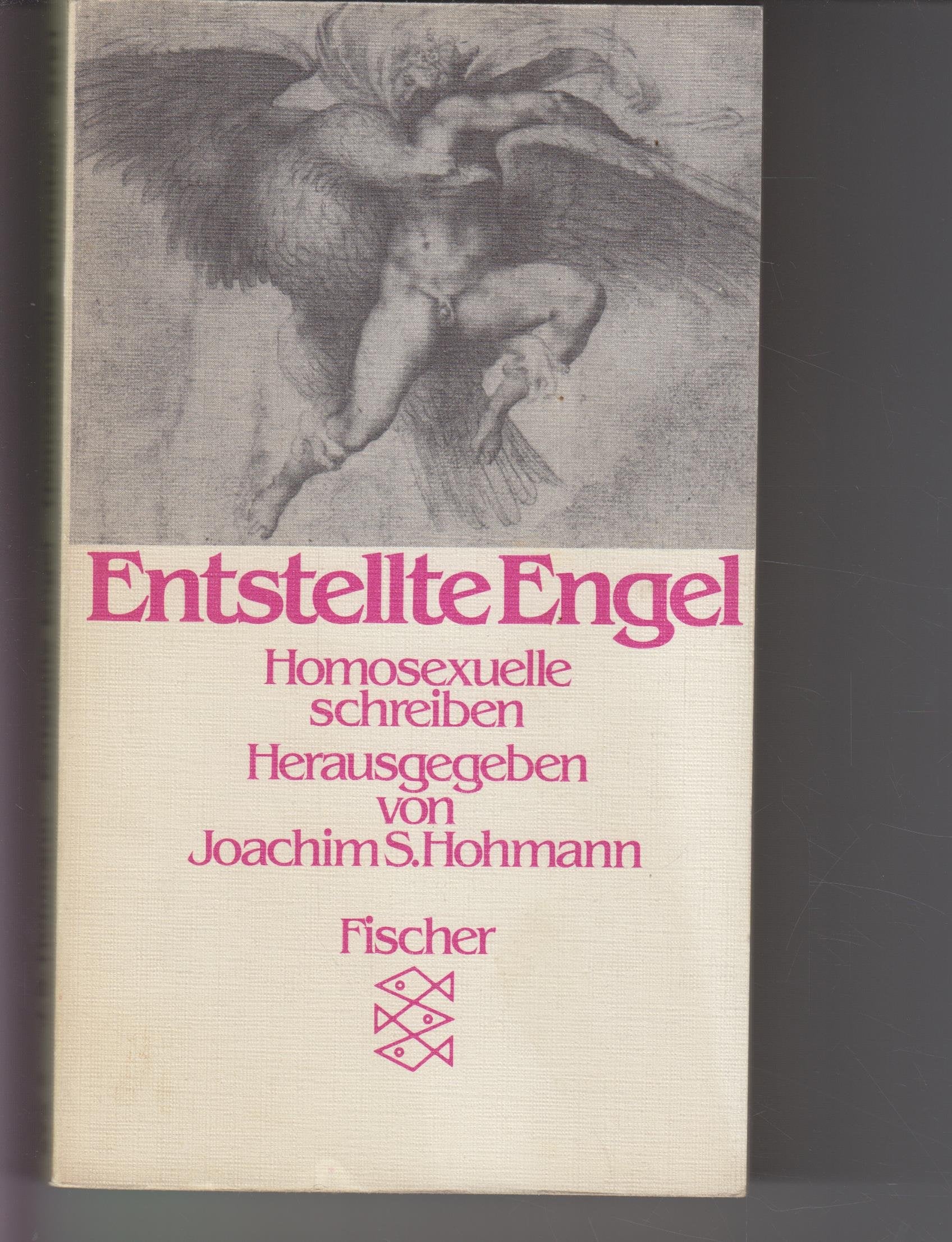 Entstellte Engel. Homosexuelle schreiben. Professional & Reference Books