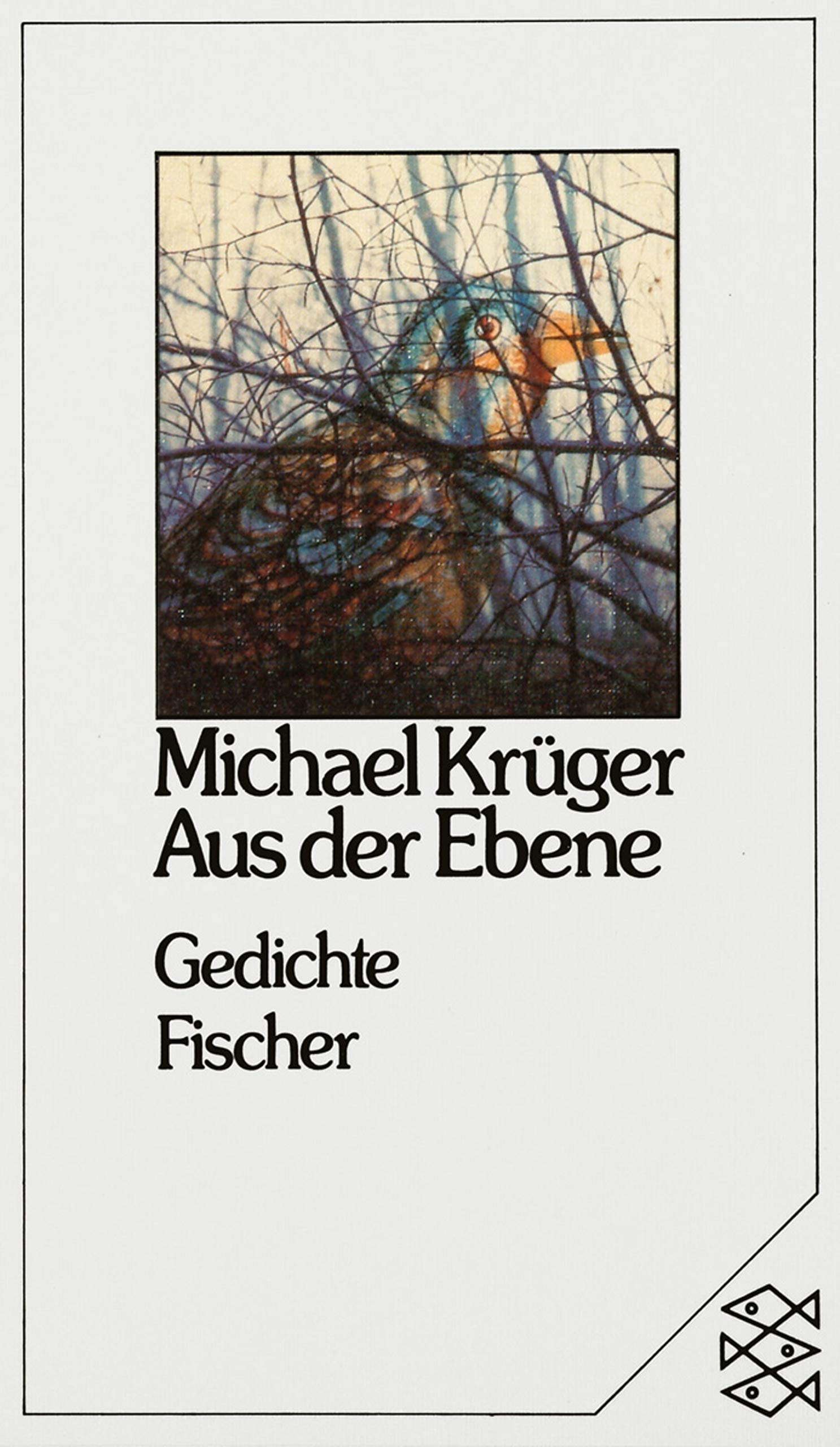 Aus der Ebene: Gedichte (Fischer Taschenbücher) Poetry
