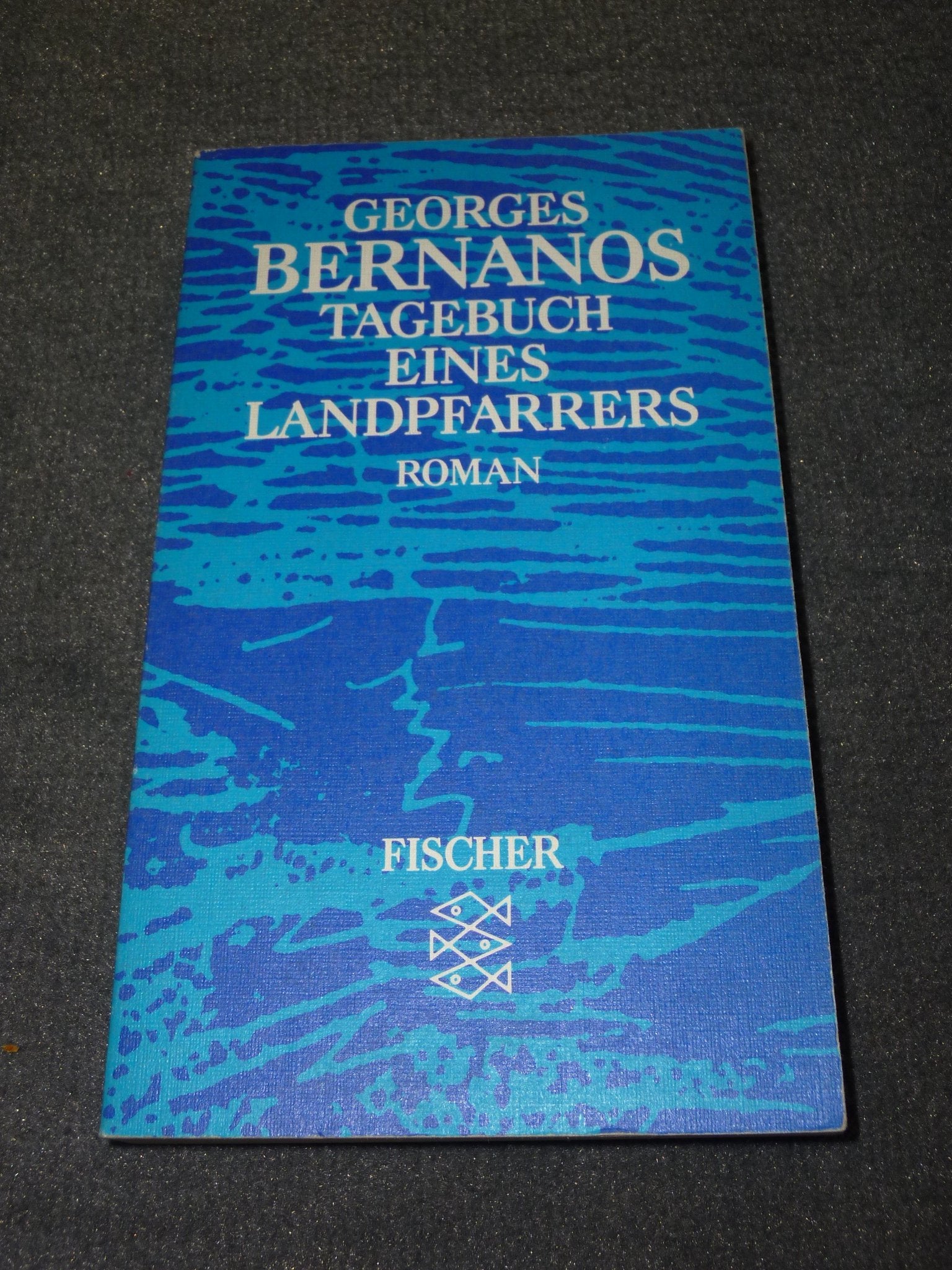 Tagebuch eines Landpfarrers: Roman Books