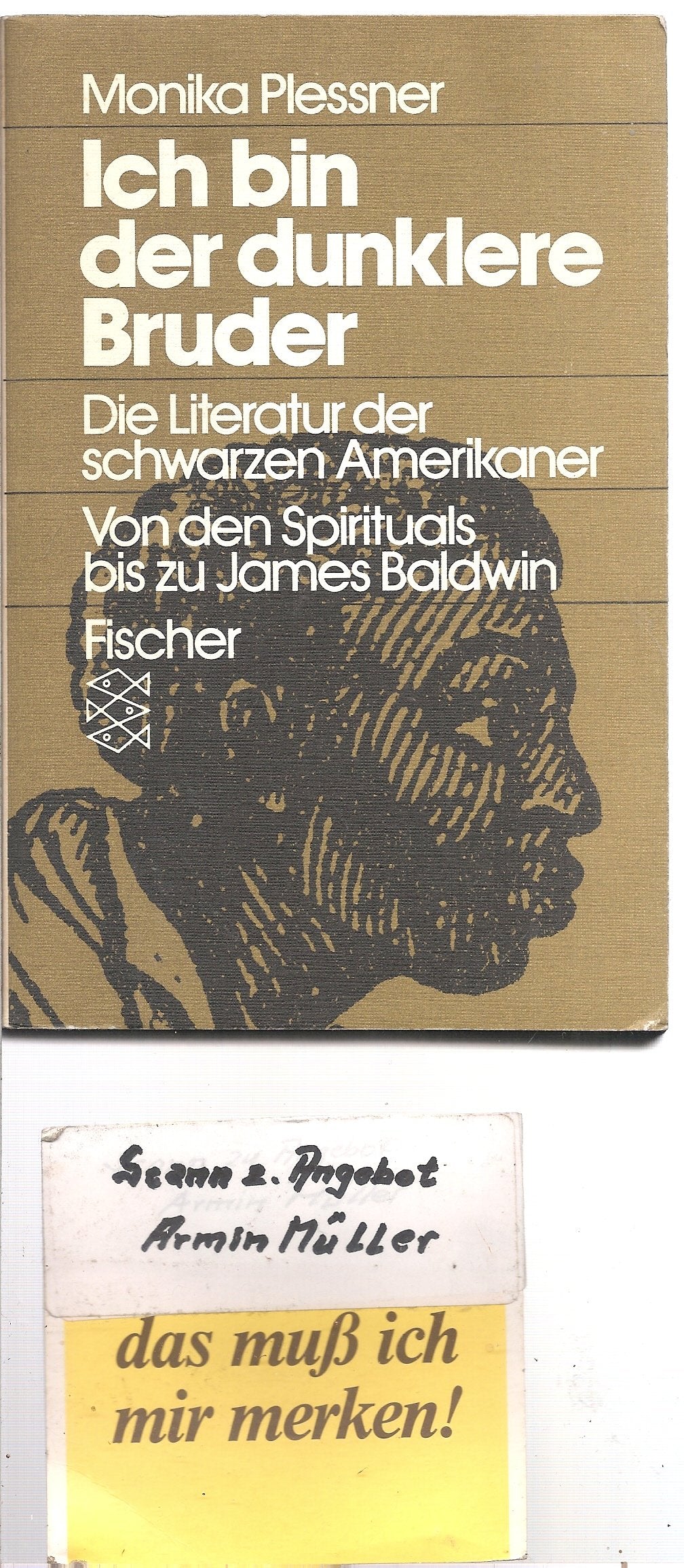 Ich bin der dunklere Bruder. Die Literatur der schwarzen Amerikaner. Von den Spirituals bis zu James Baldwin Professional & Reference Books