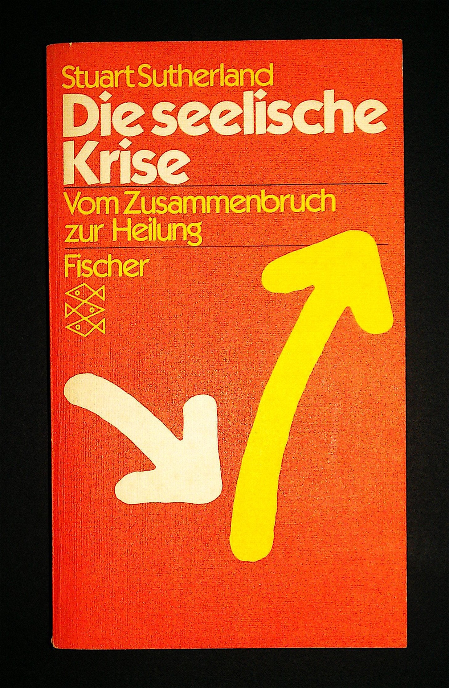 Die seelische Krise: Vom Zusammenbruch zur Heilung Psychology