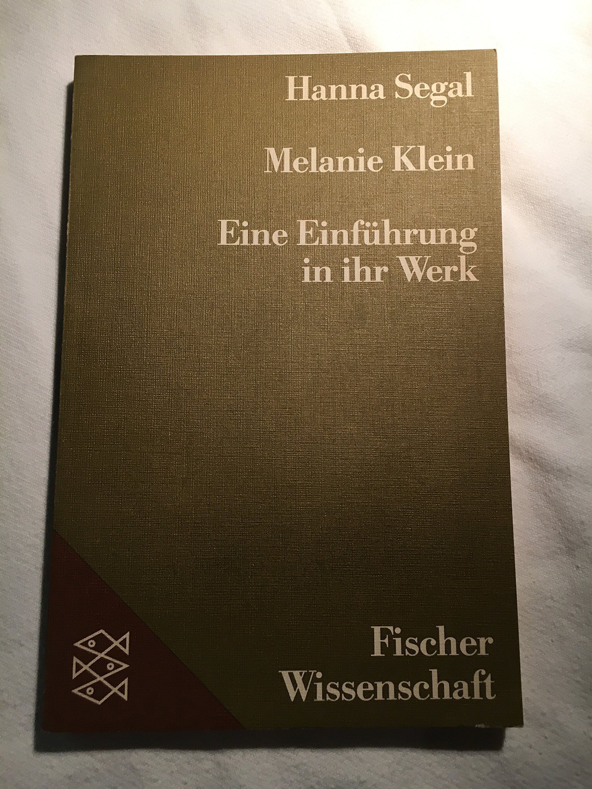 Melanie Klein: Eine Einführung in ihr Werk Books