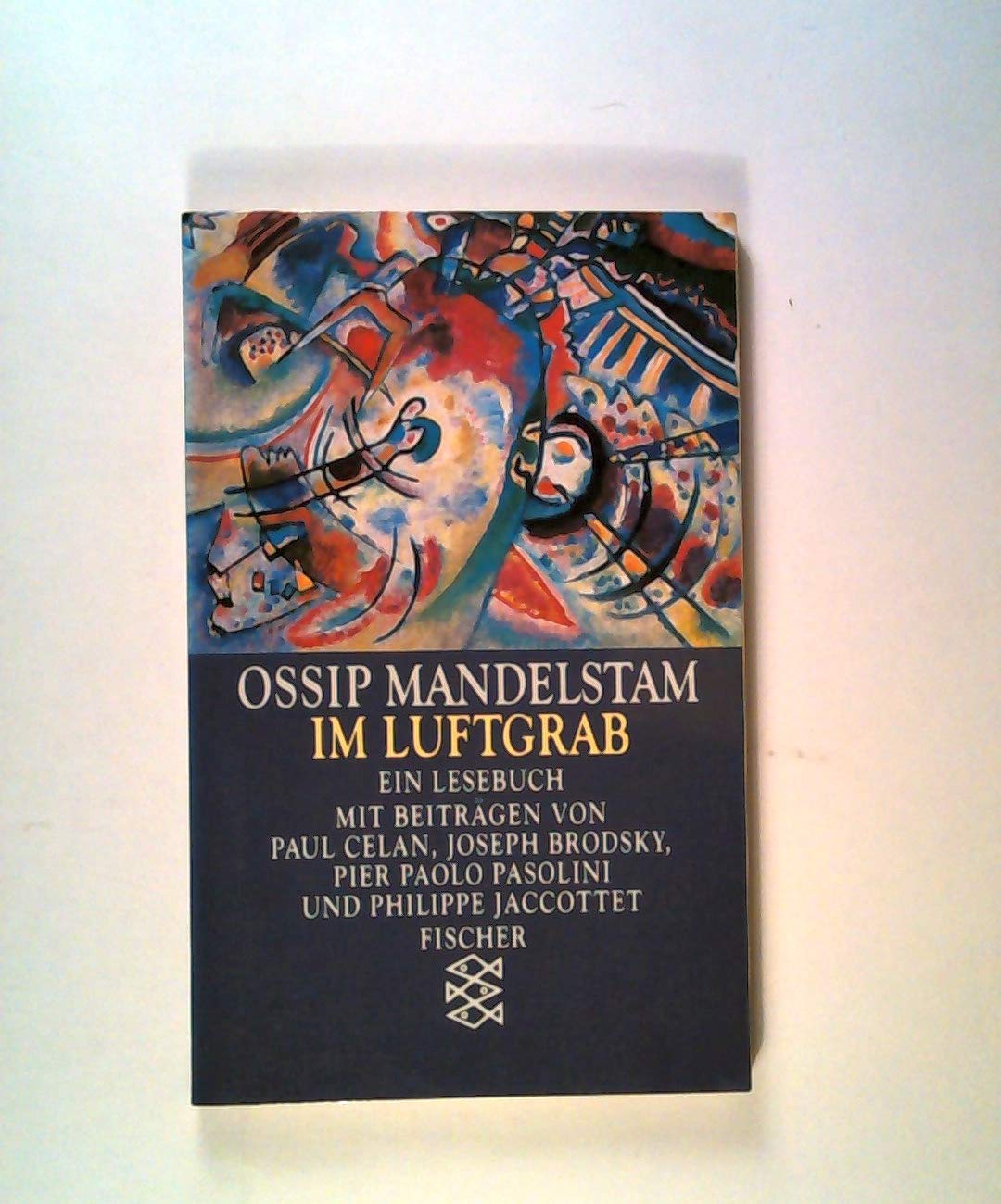 Im Luftgrab: Ein Lesebuch (Fischer Taschenbücher) Books