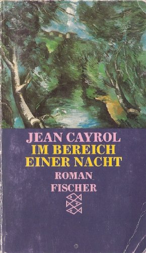 Im Bereich einer Nacht: Roman Contemporary literature