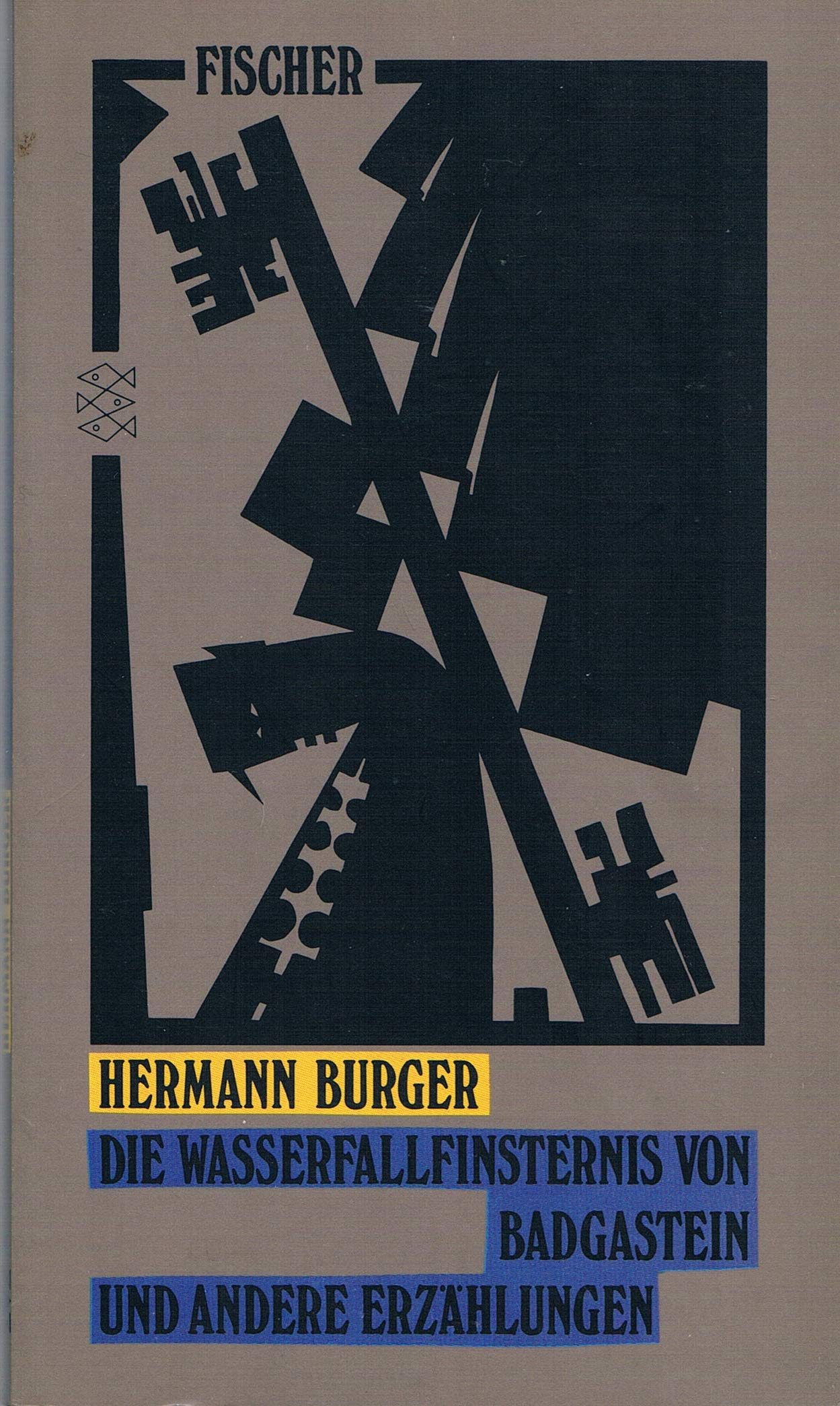 Die Wasserfallfinsternis von Badgastein und andere Erzählungen (Erzählerbibliothek) Books