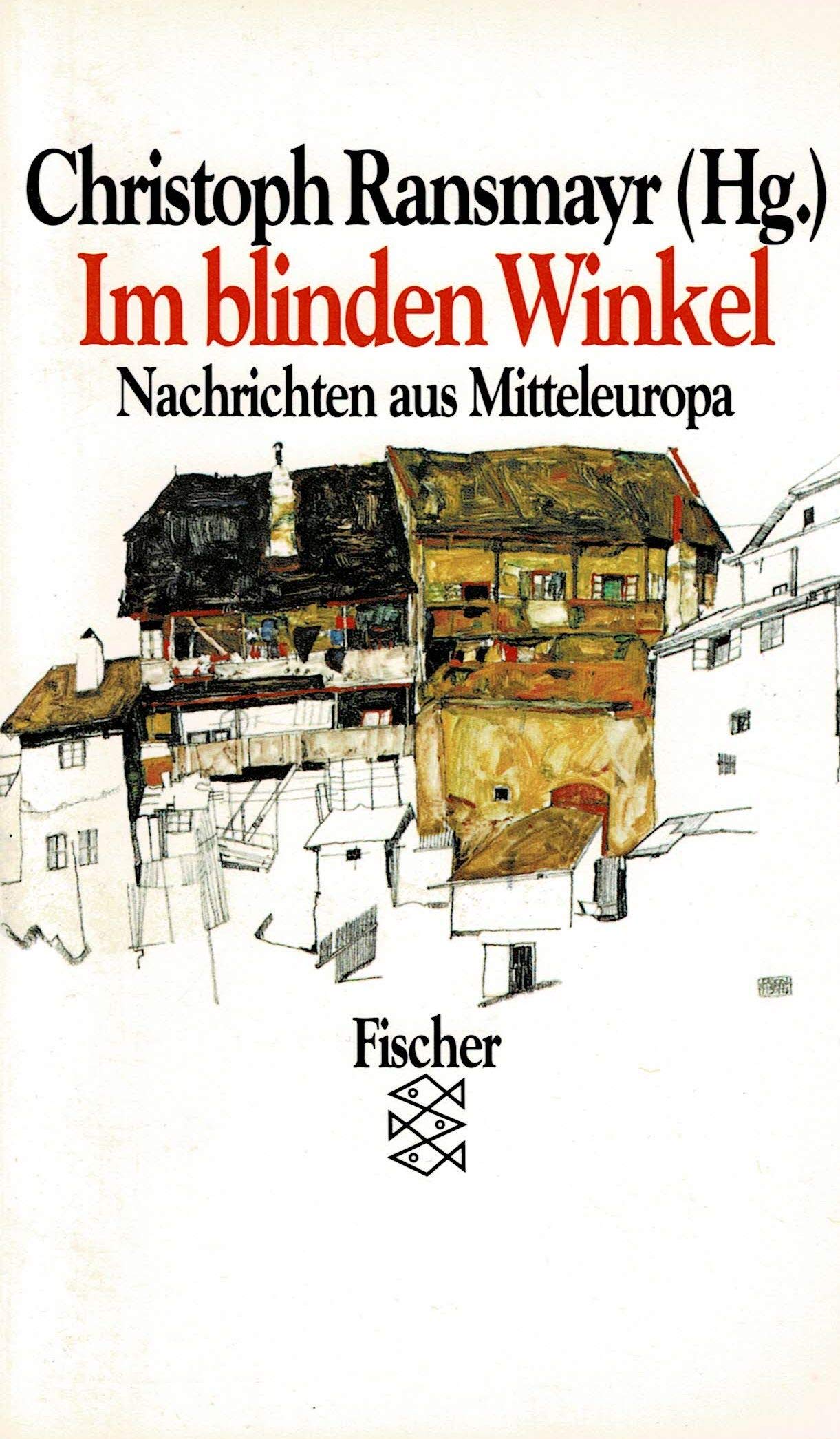 Im blinden Winkel: Nachrichten aus Mitteleuropa Professional & Reference Books