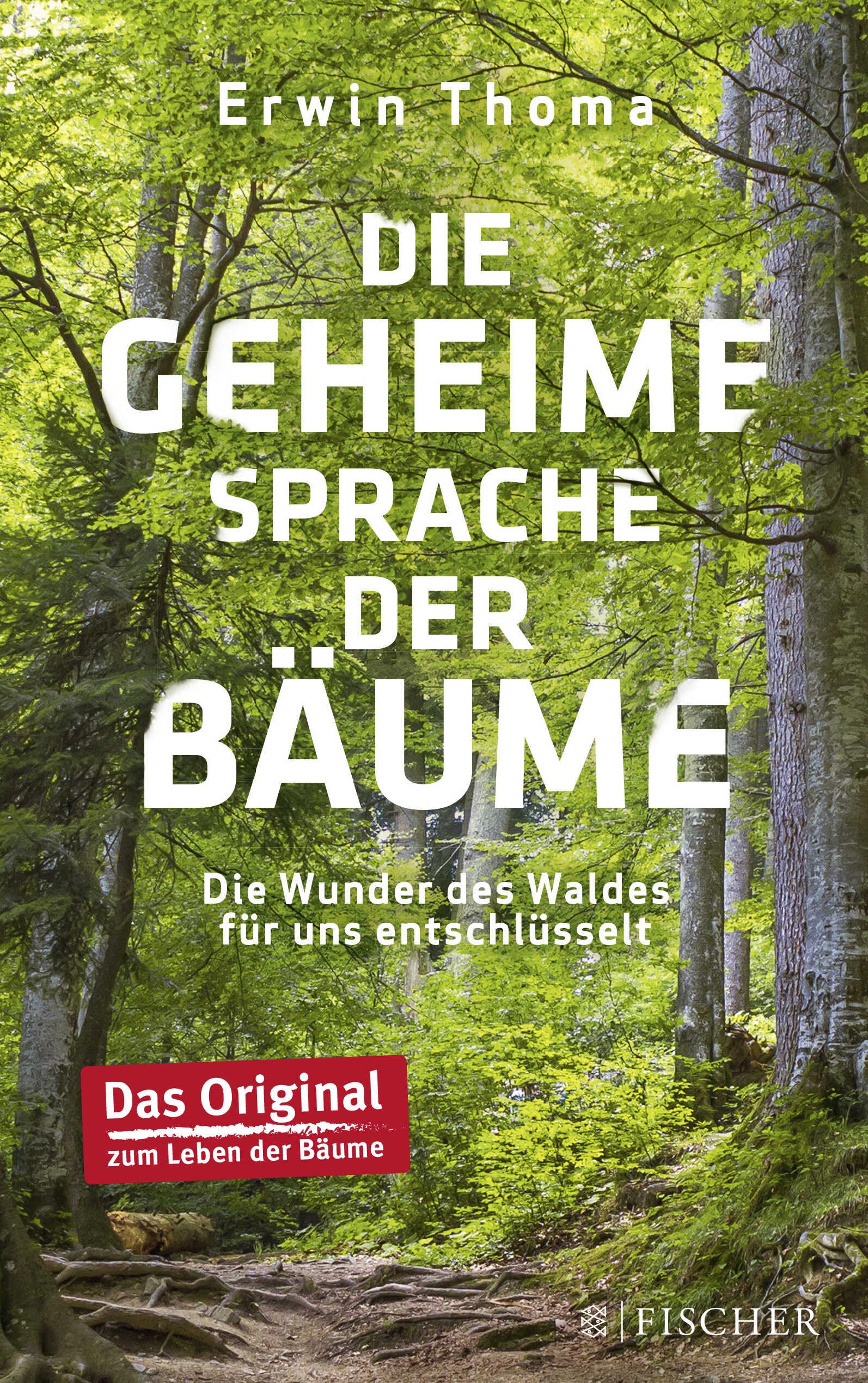 Die geheime Sprache der Bäume Mathematics