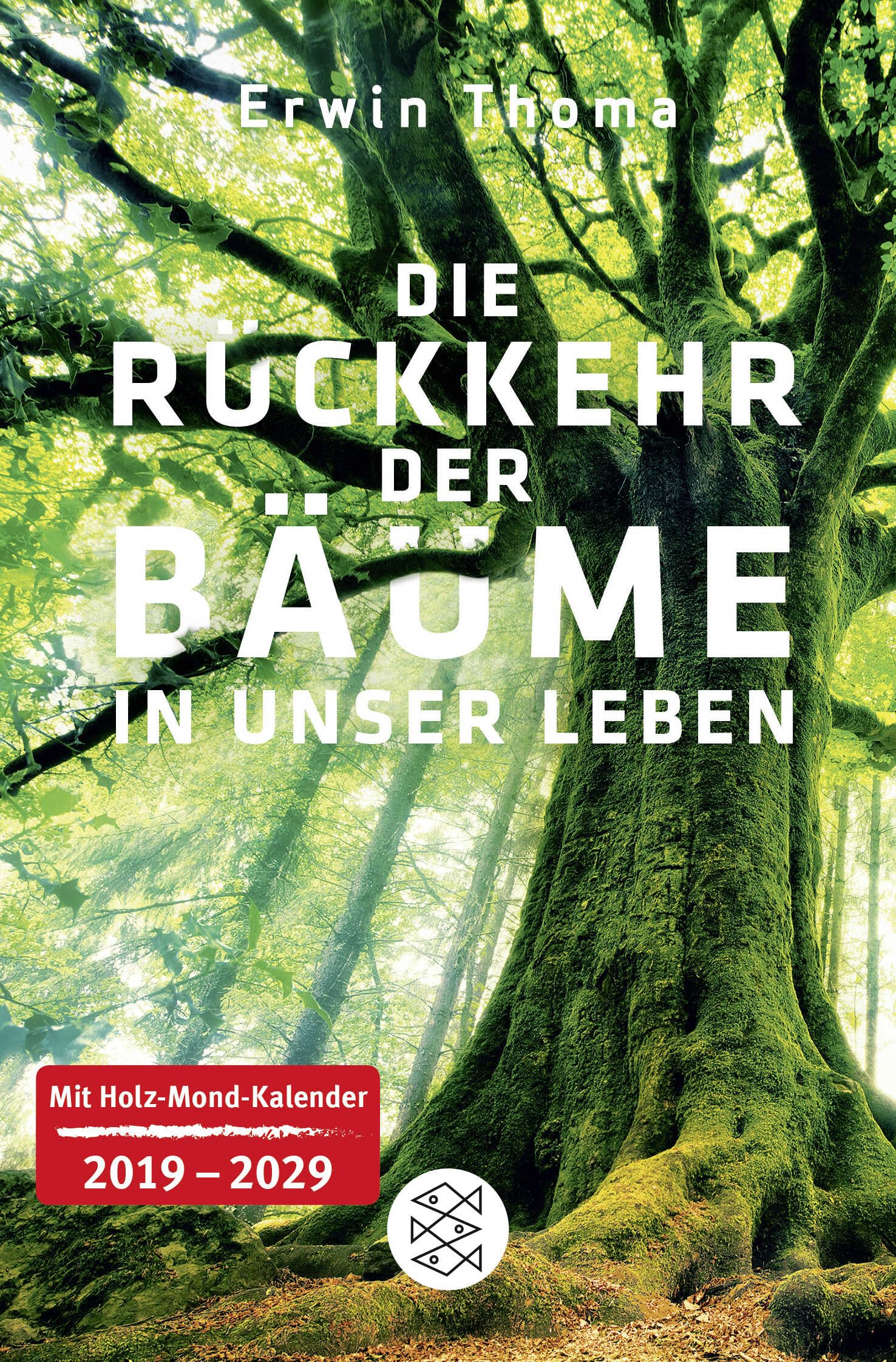 Die Rückkehr der Bäume in unser Leben Mathematics