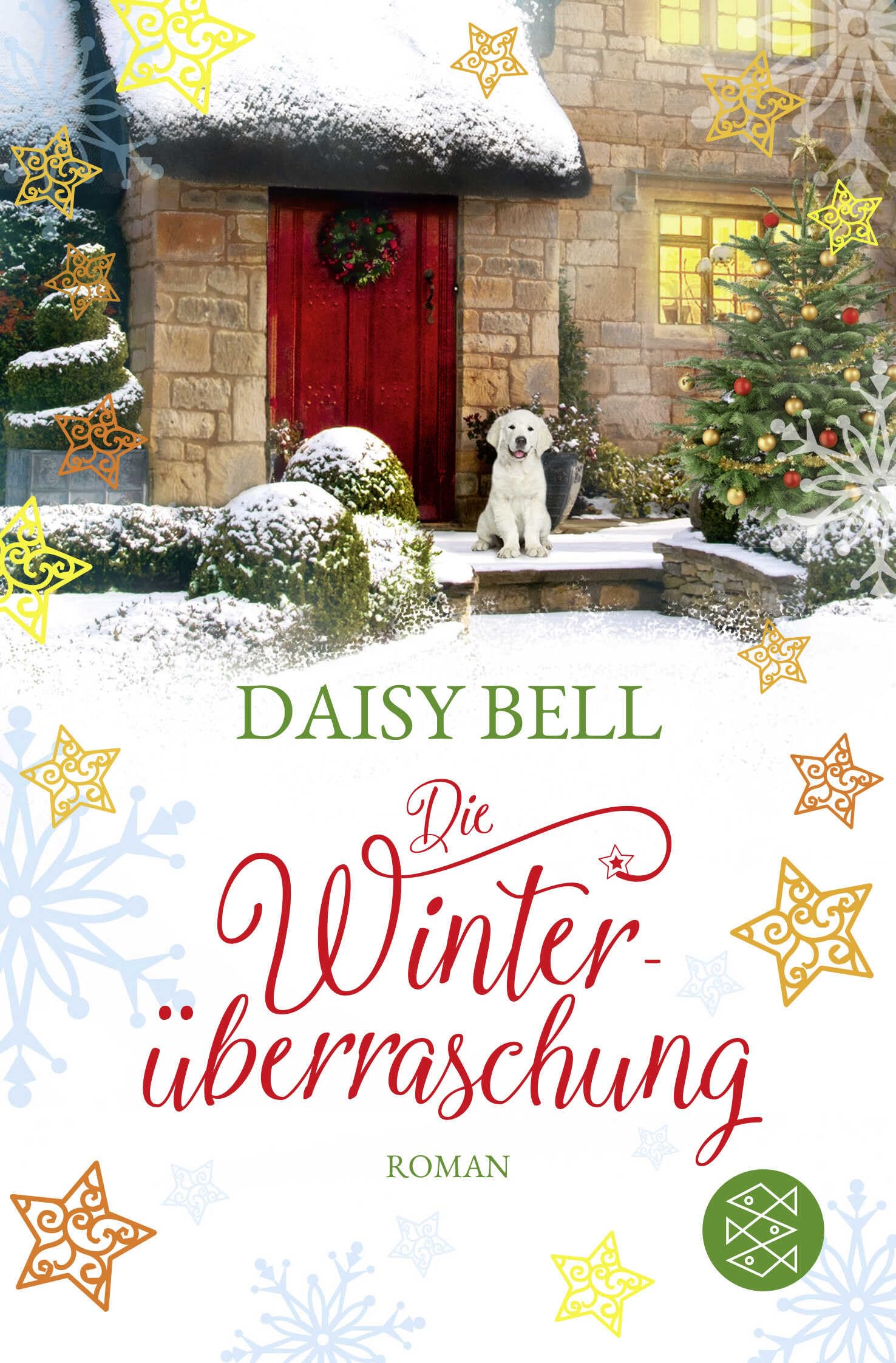 Product Image: Die Winterüberraschung
