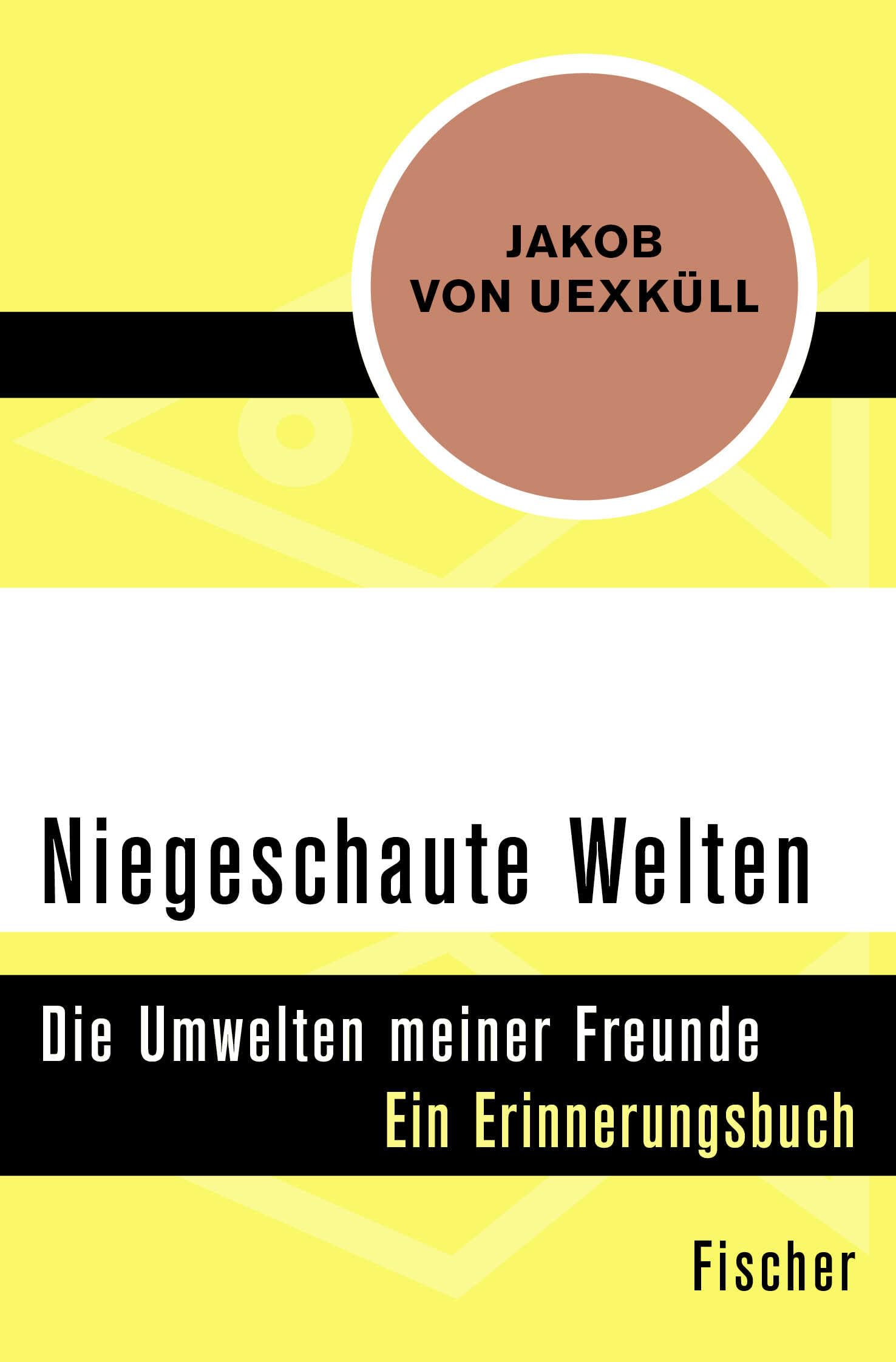 Niegeschaute Welten Philosophy