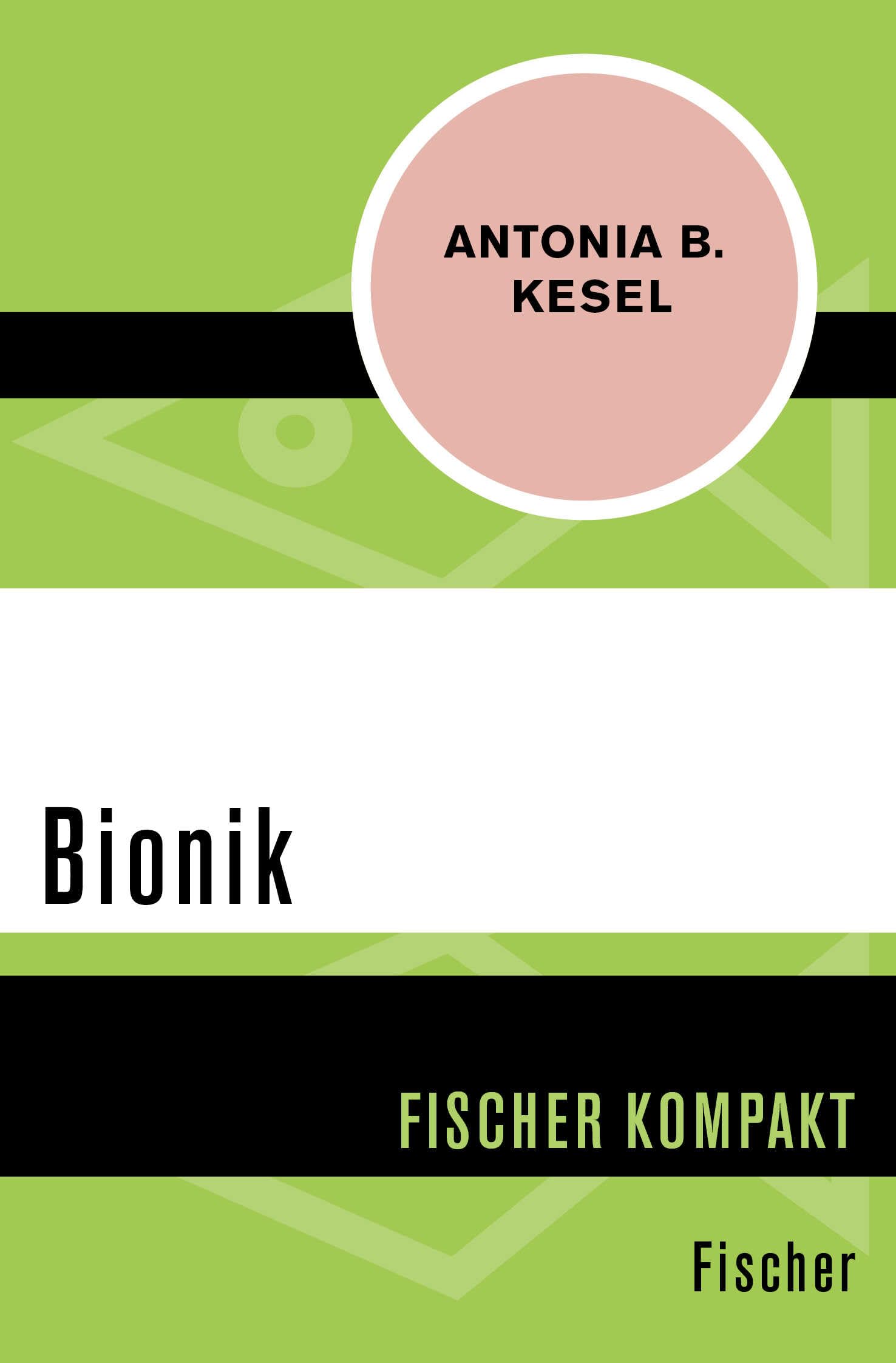 Bionik (Fischer Kompakt) Hobbies & Crafts