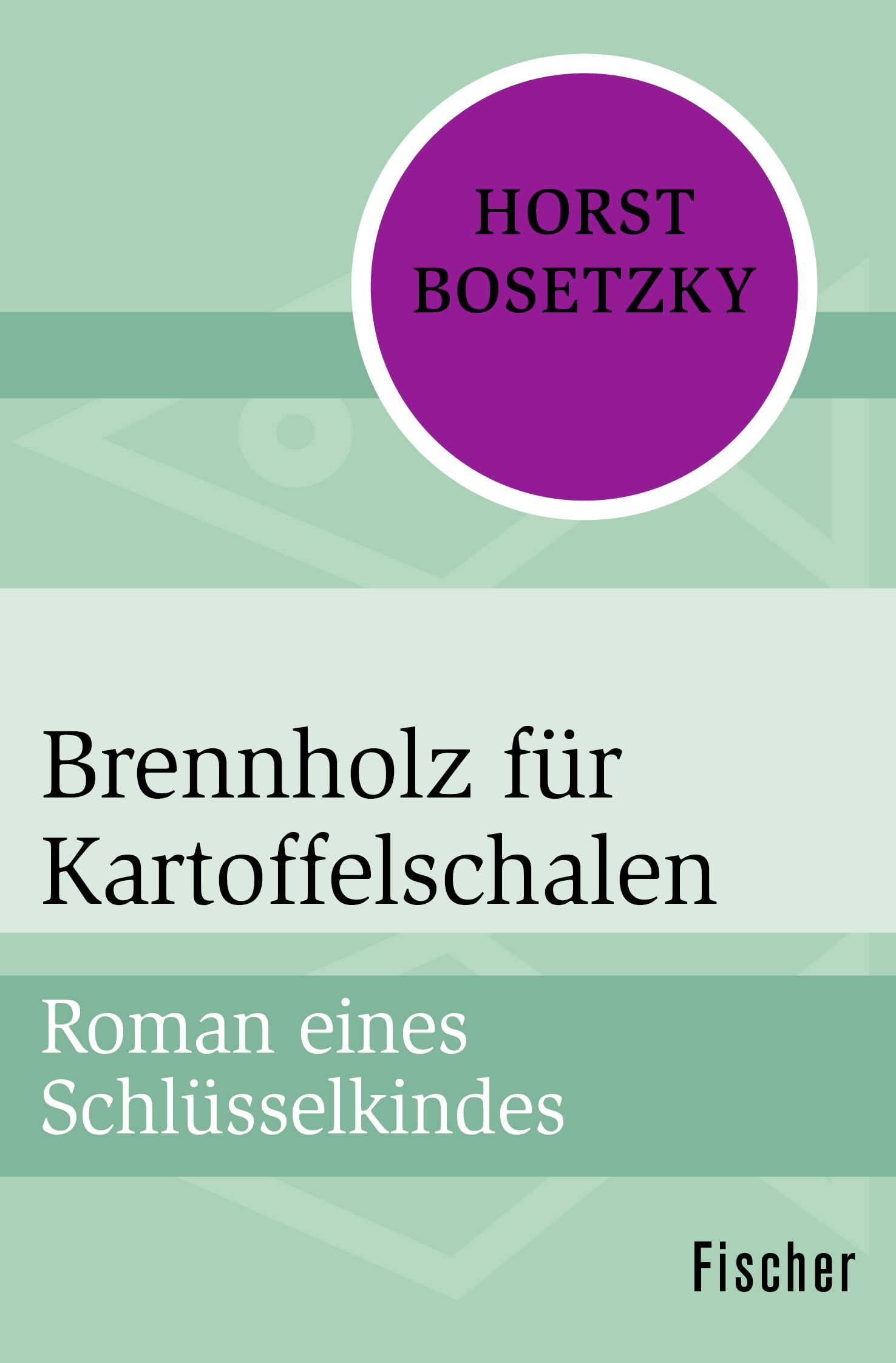Brennholz für Kartoffelschalen: Roman eines Schlüsselkindes Contemporary literature