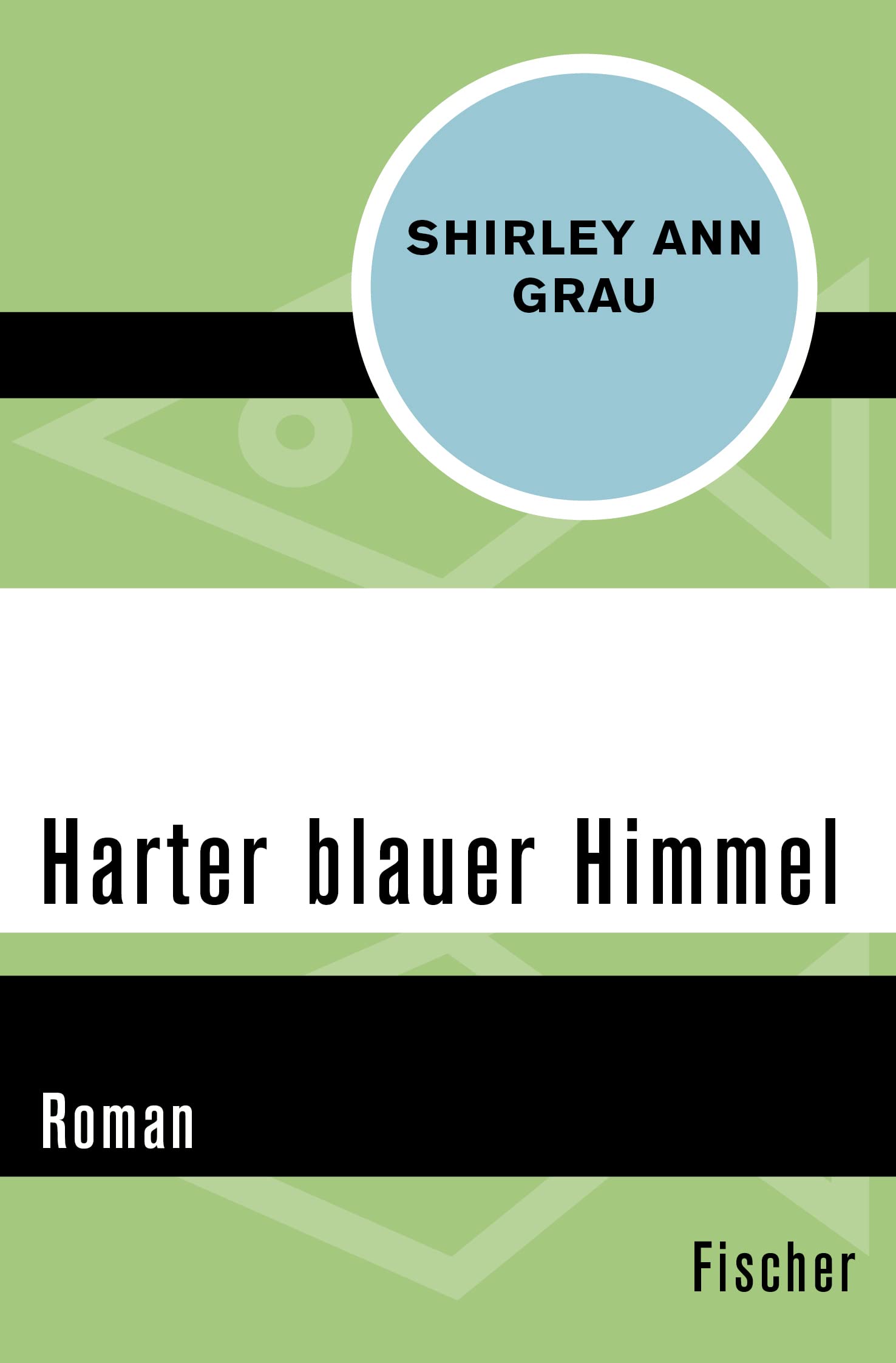 Harter blauer Himmel Contemporary literature Books