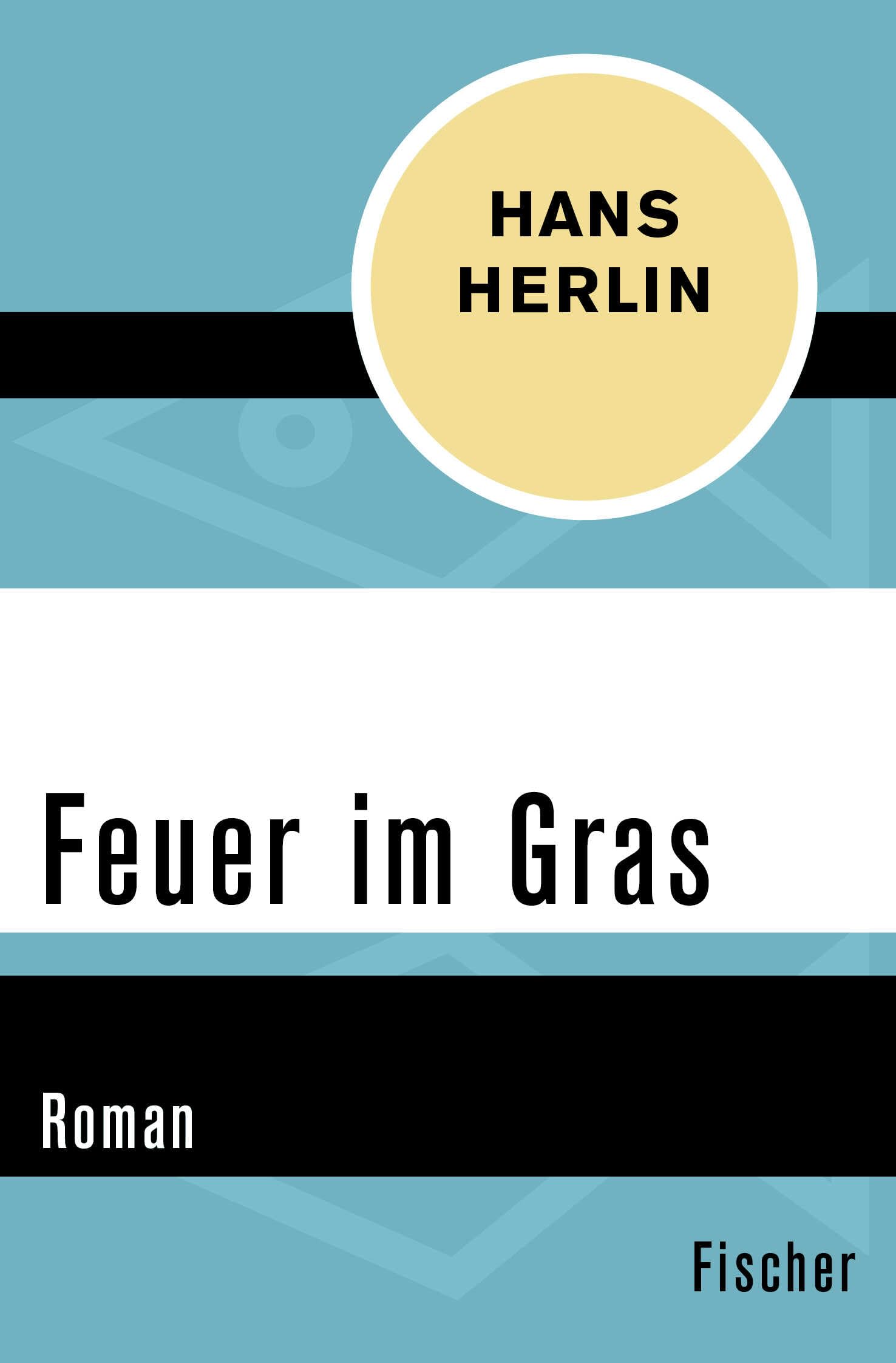 Feuer im Gras Contemporary literature Books