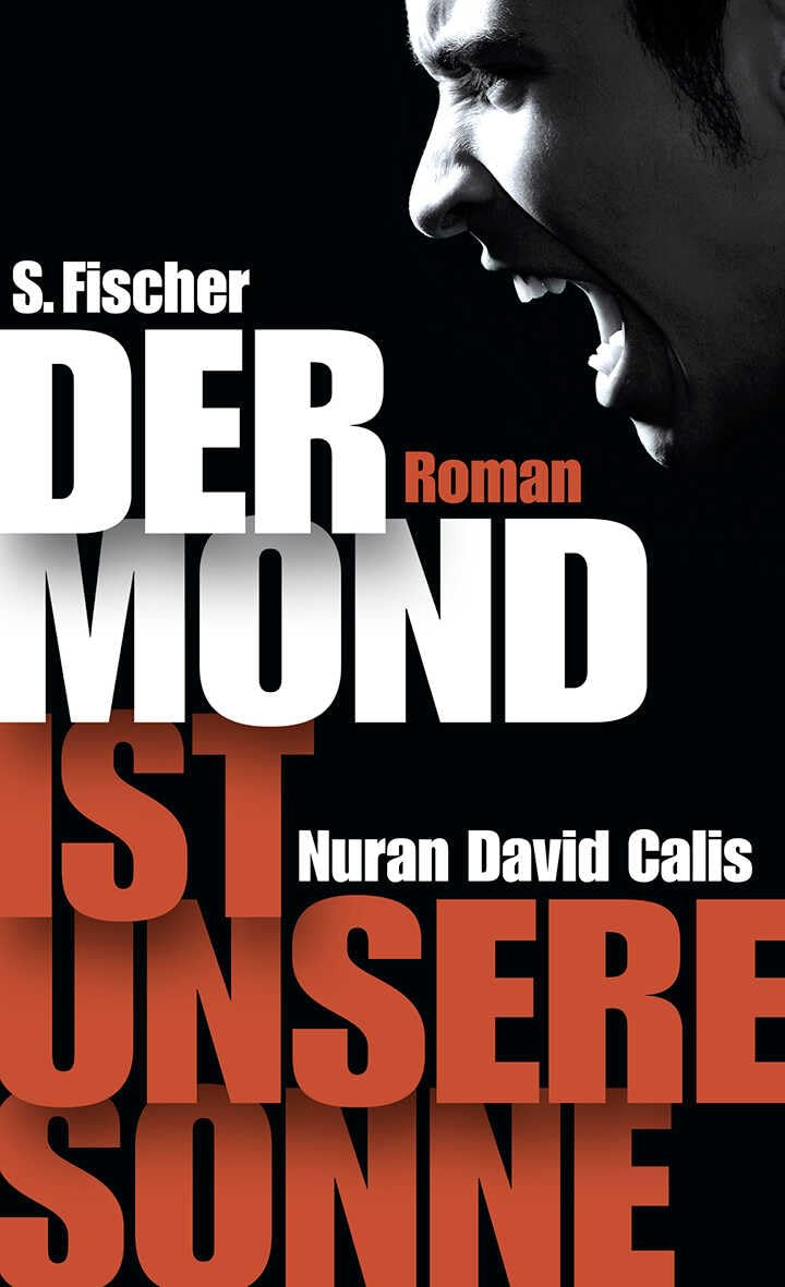 Der Mond ist unsere Sonne Contemporary literature