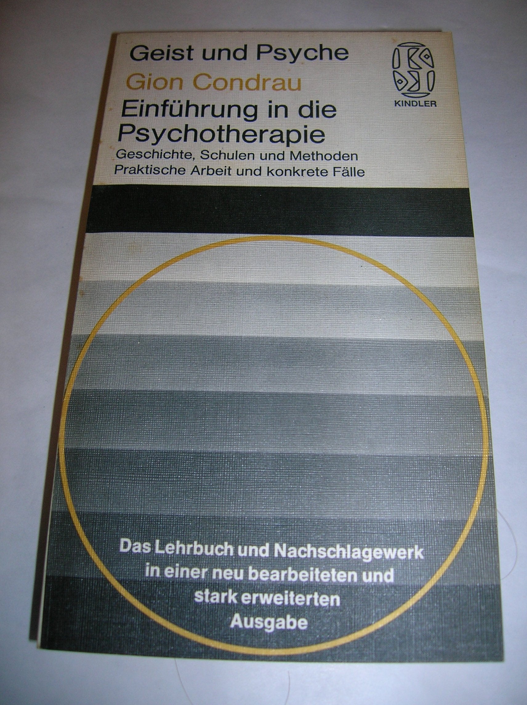 Einführung in die Psychotherapie: Geschichte, Schulen und Methoden. Praktische Arbeit und konkrete Fälle Psychology