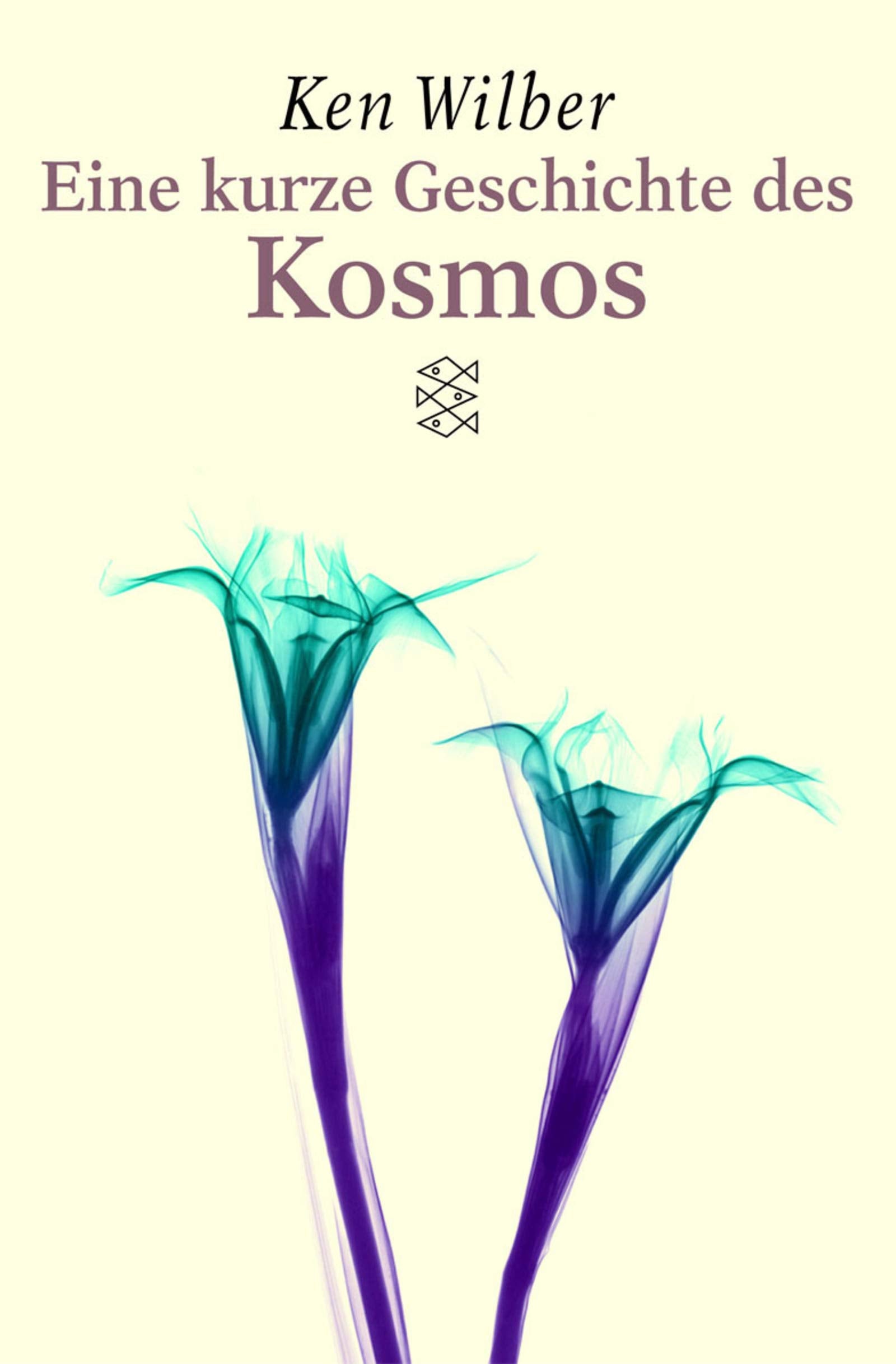 Eine kurze Geschichte des Kosmos (Spirit) Philosophy