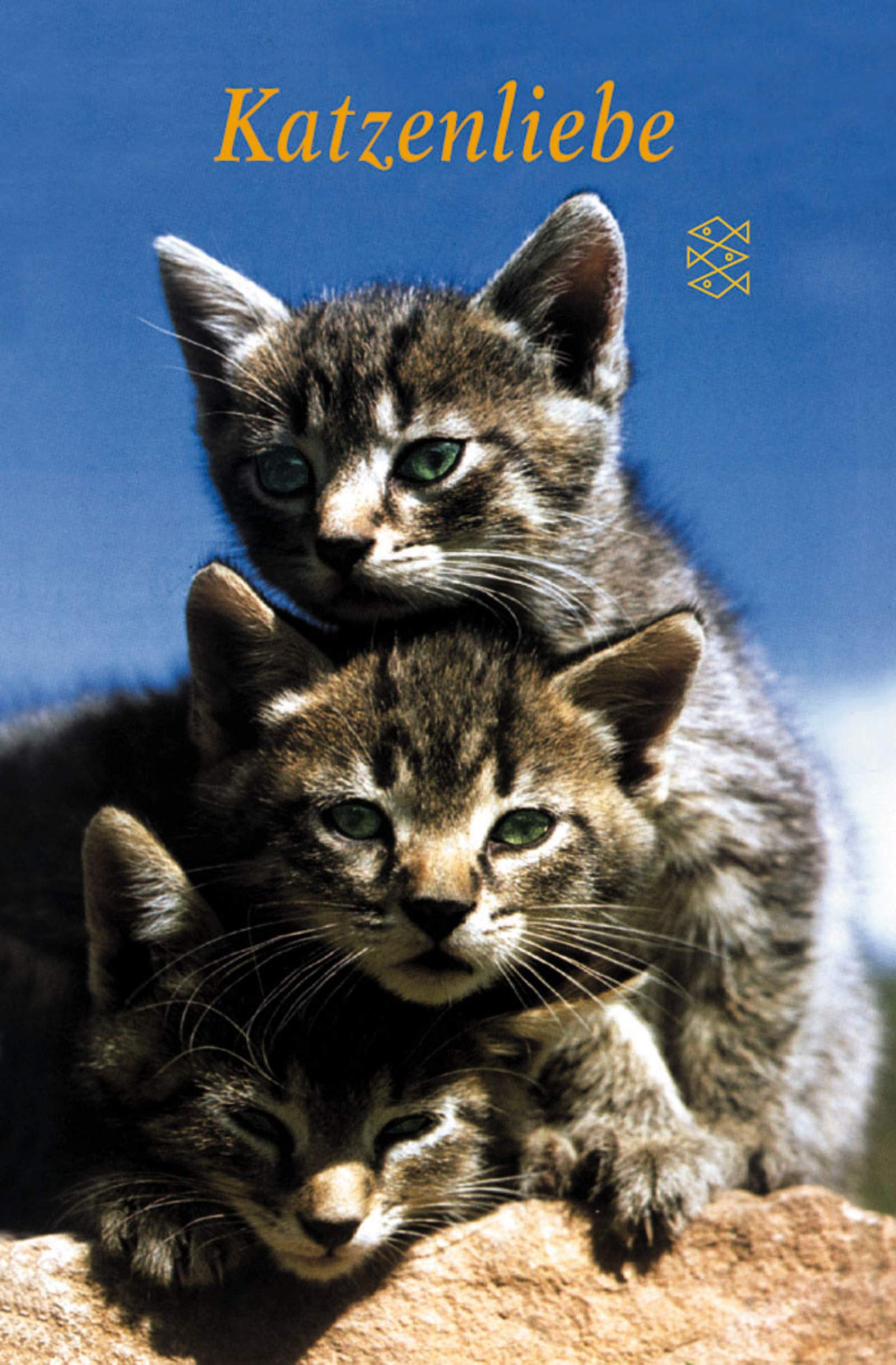 Katzenliebe: Ein Lesebuch (Fischer Taschenbücher) Books