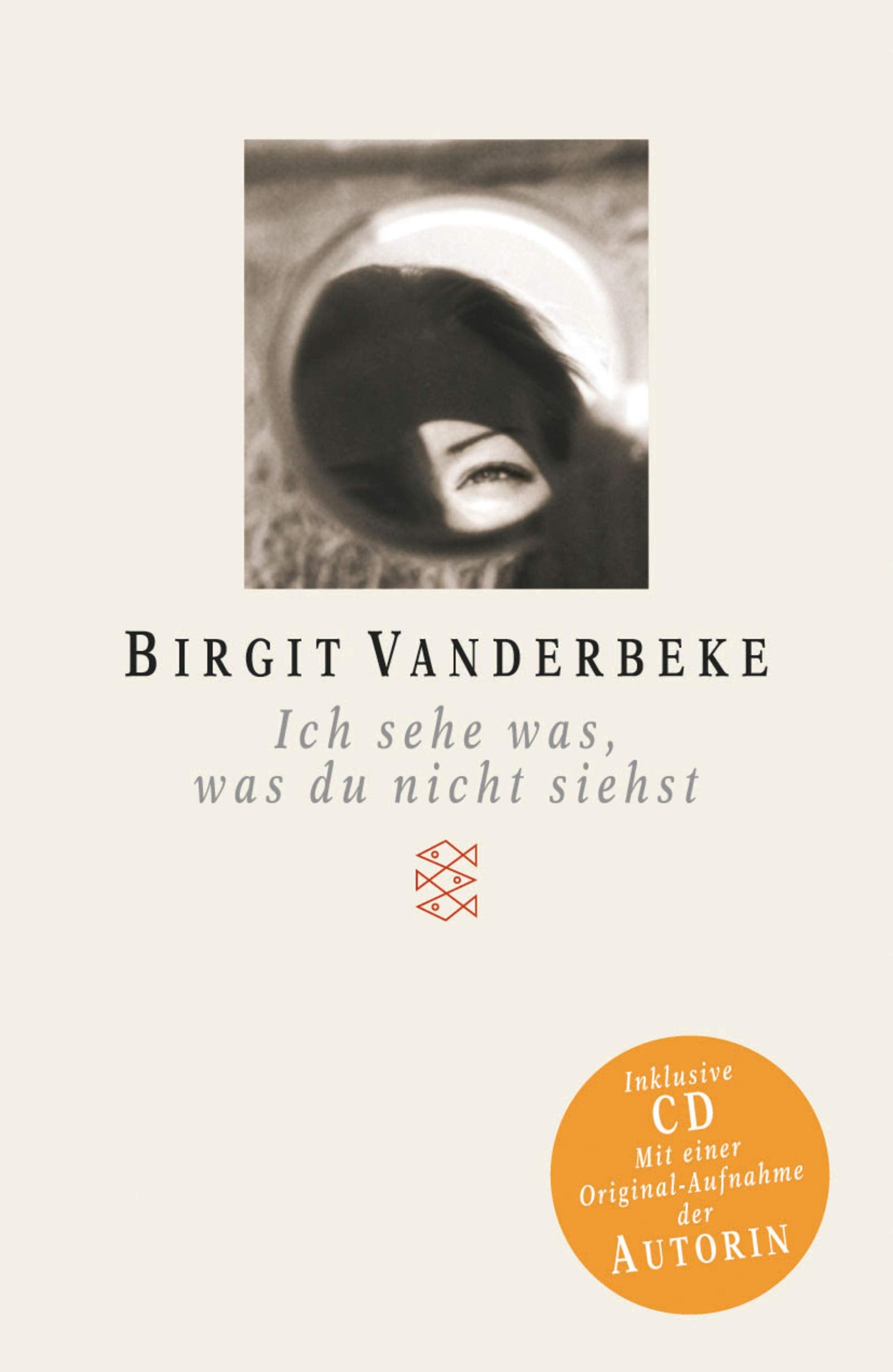 Ich sehe was, was du nicht siehst (Fischer Taschenbücher) Contemporary literature